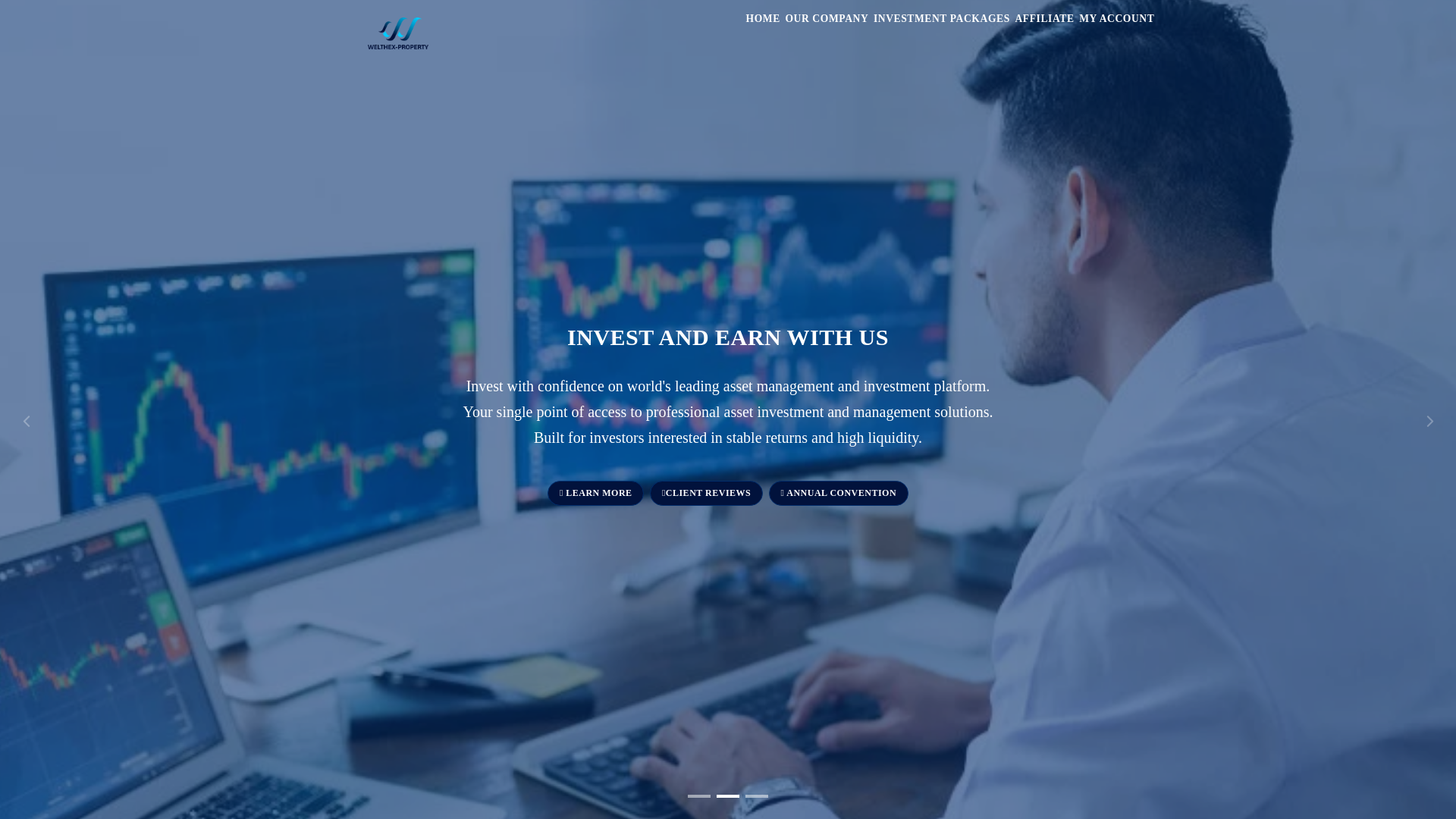 website screenshot of http://welthex-property.com