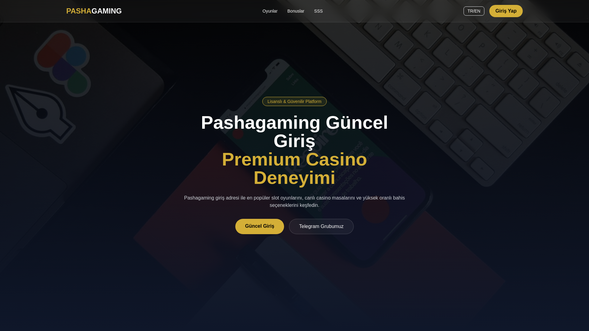 website screenshot of https://pashagaming.trgir.info/