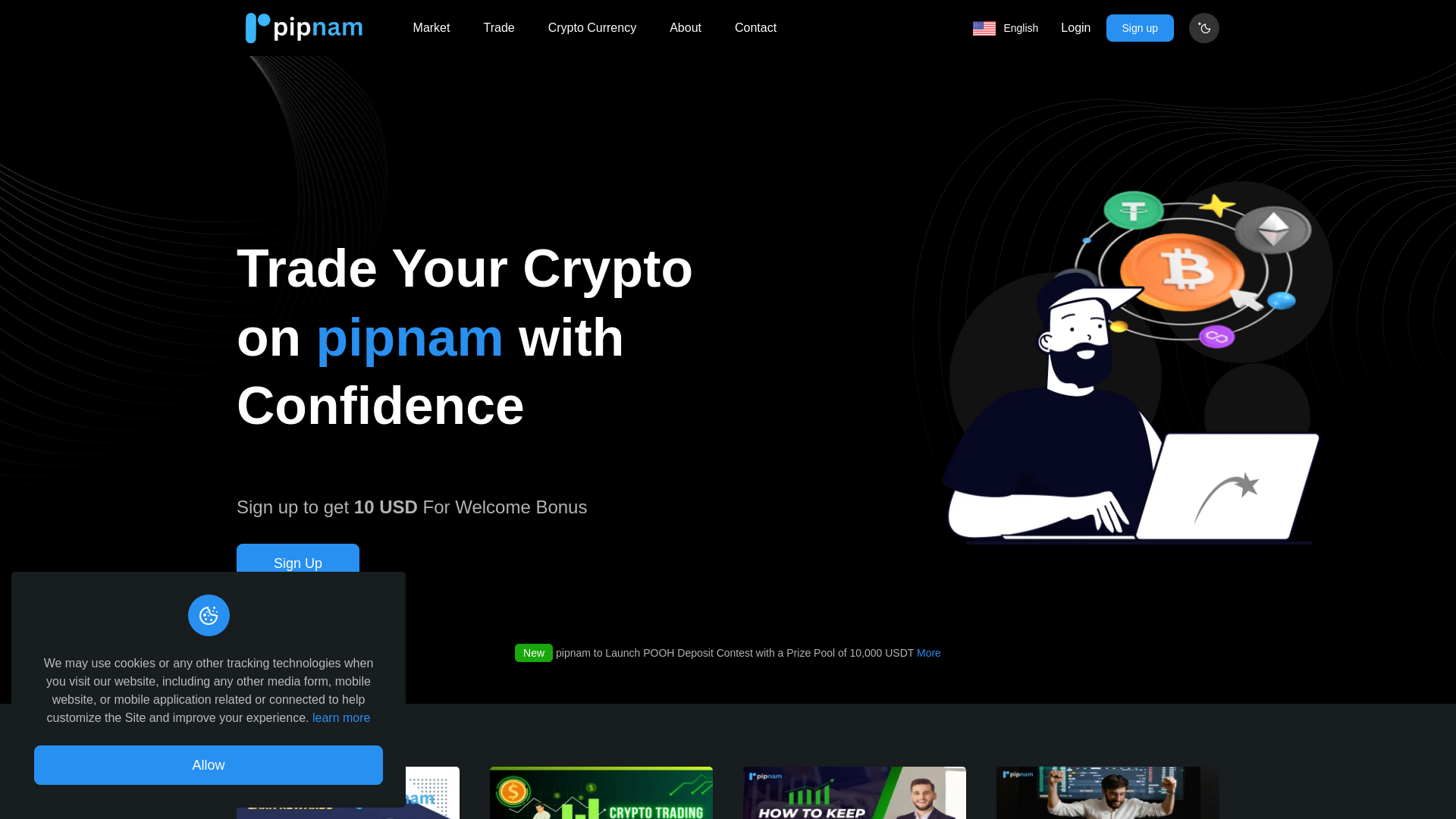 website screenshot of https://pipnam.com/