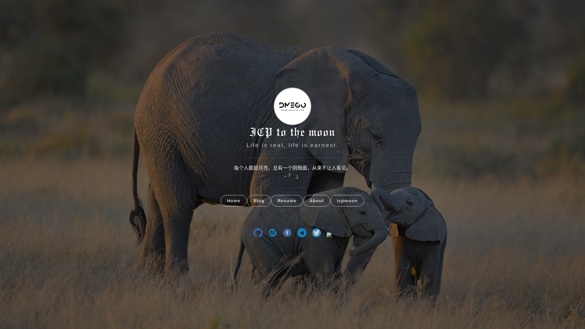 website screenshot of https://ecb5l-sqaaa-aaaag-ak3ra-cai.icp0.io