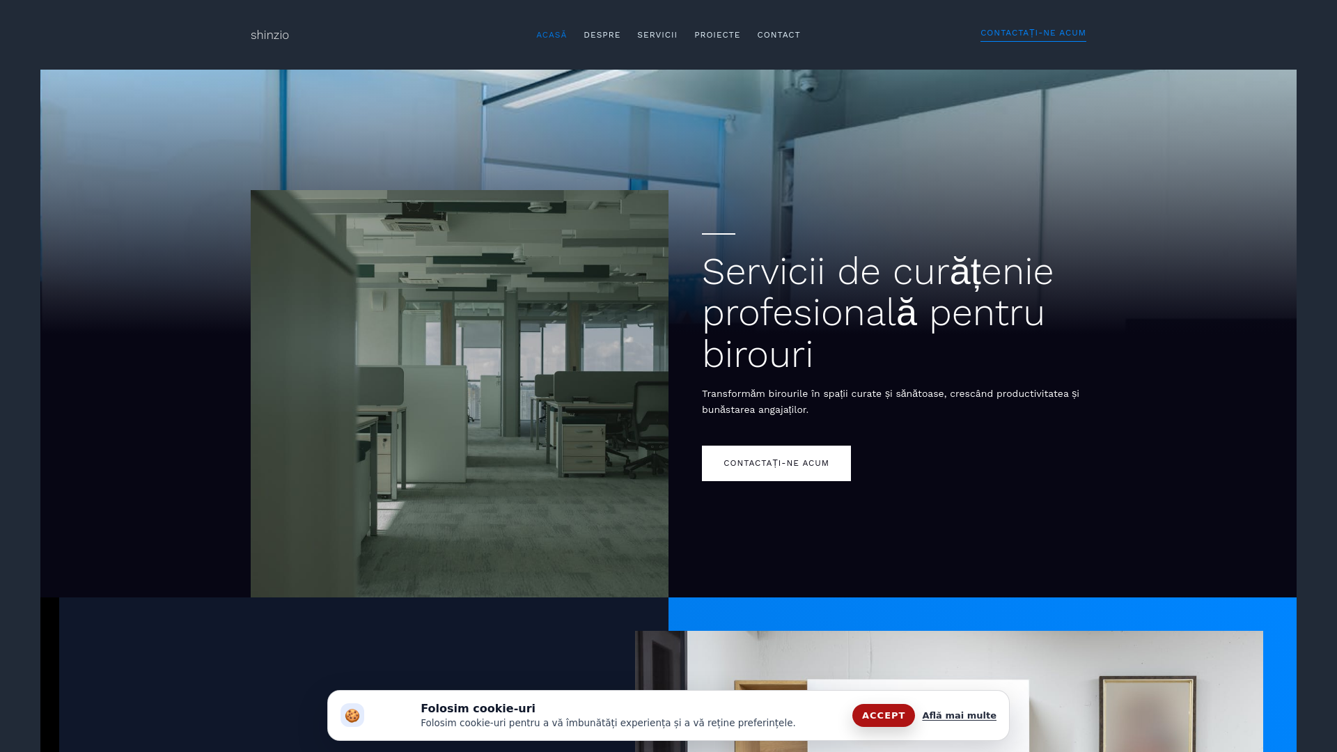 website screenshot of https://shinzio.world/