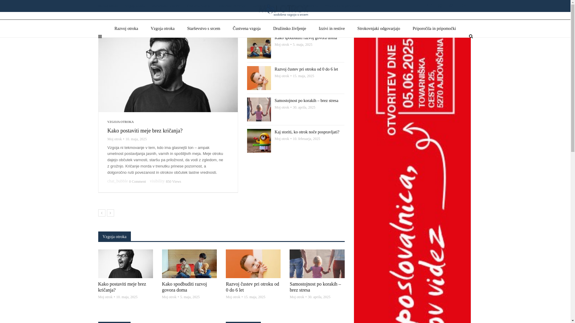 website screenshot of https://elizabetaivacic.si/