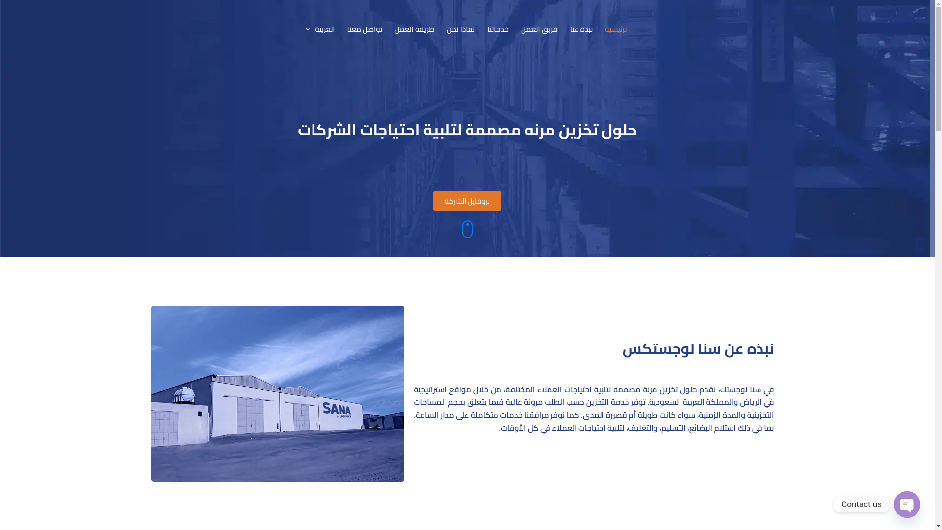 website screenshot of https://sanalogistics.net/