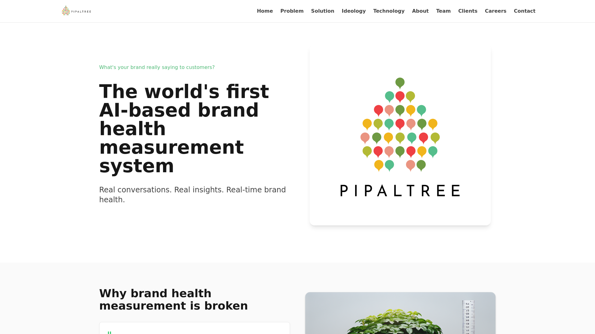 website screenshot of https://pipaltreeteams.com
