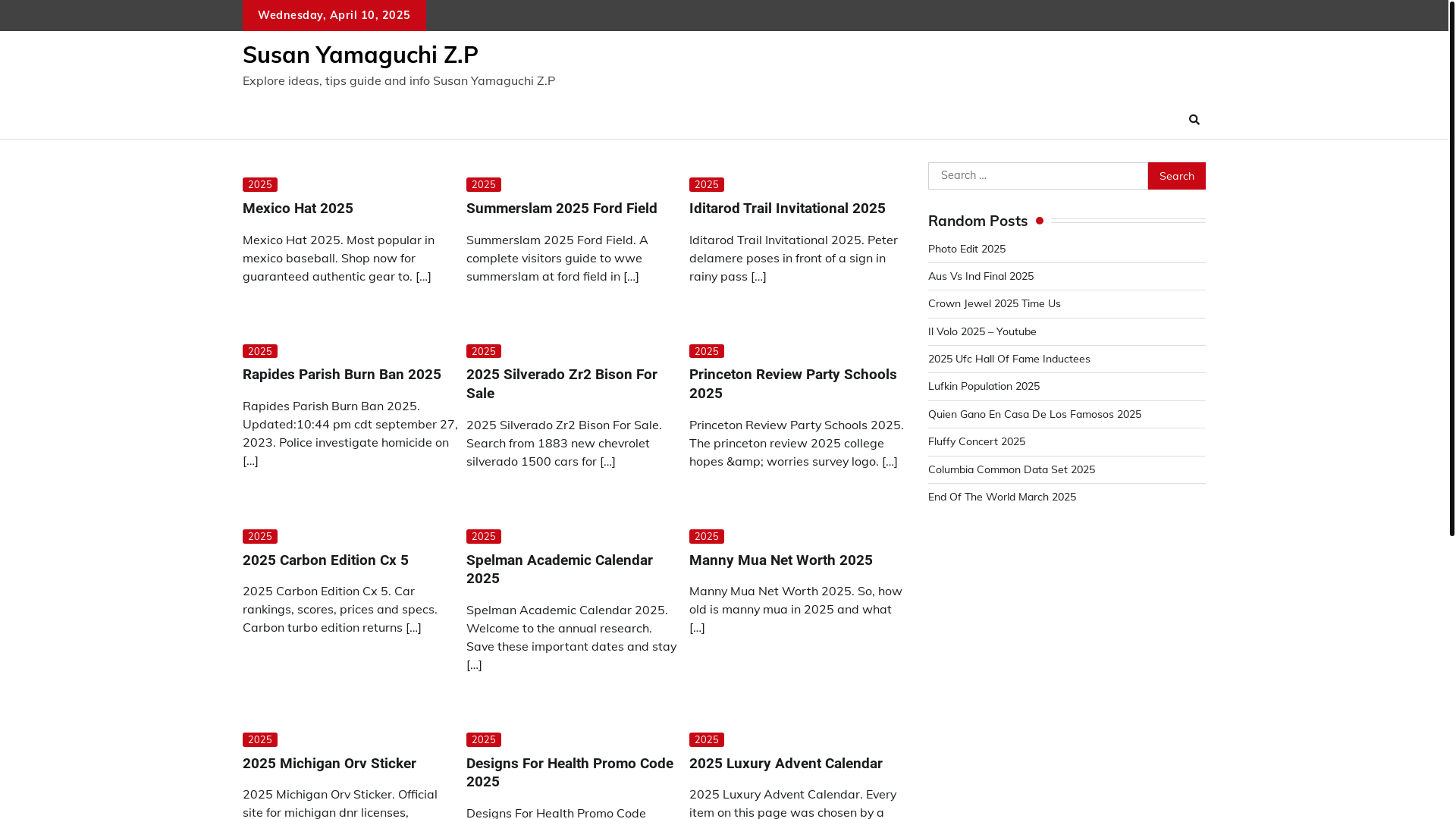 website screenshot of https://susanyamaguchizp.pages.dev/