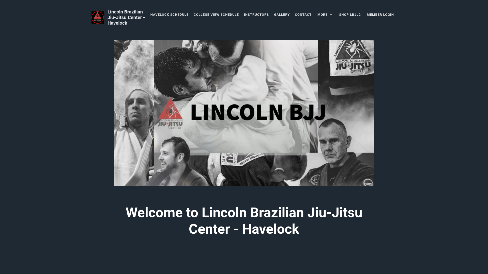 website screenshot of https://lincolnbjjnorth.com/