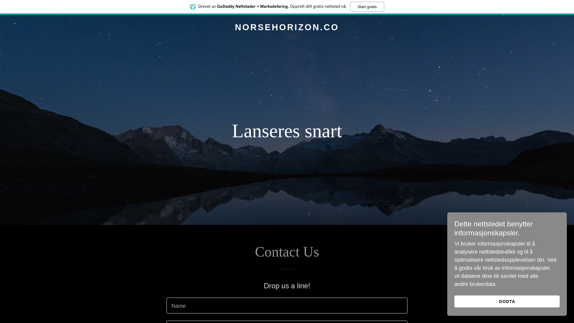 website screenshot of https://norsehorizon.co/