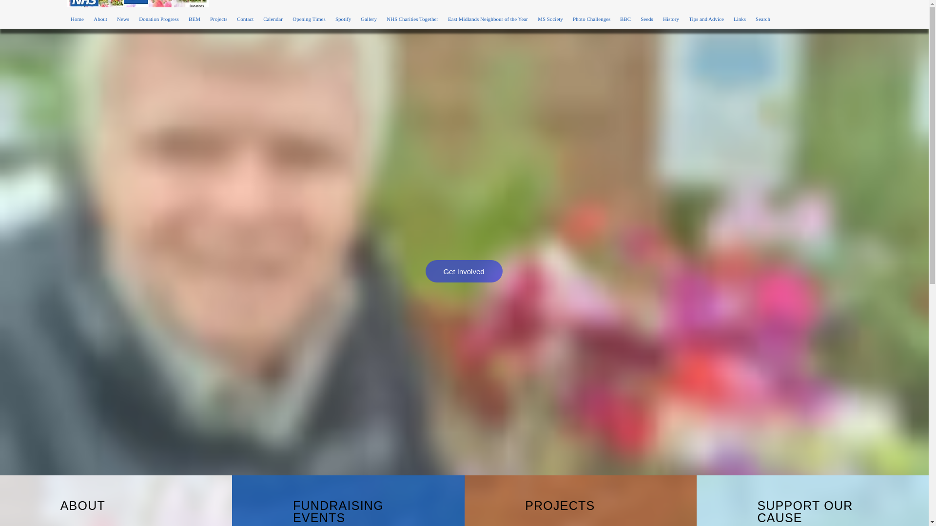 website screenshot of https://davidsgrowingplantsforthenhs.co.uk/