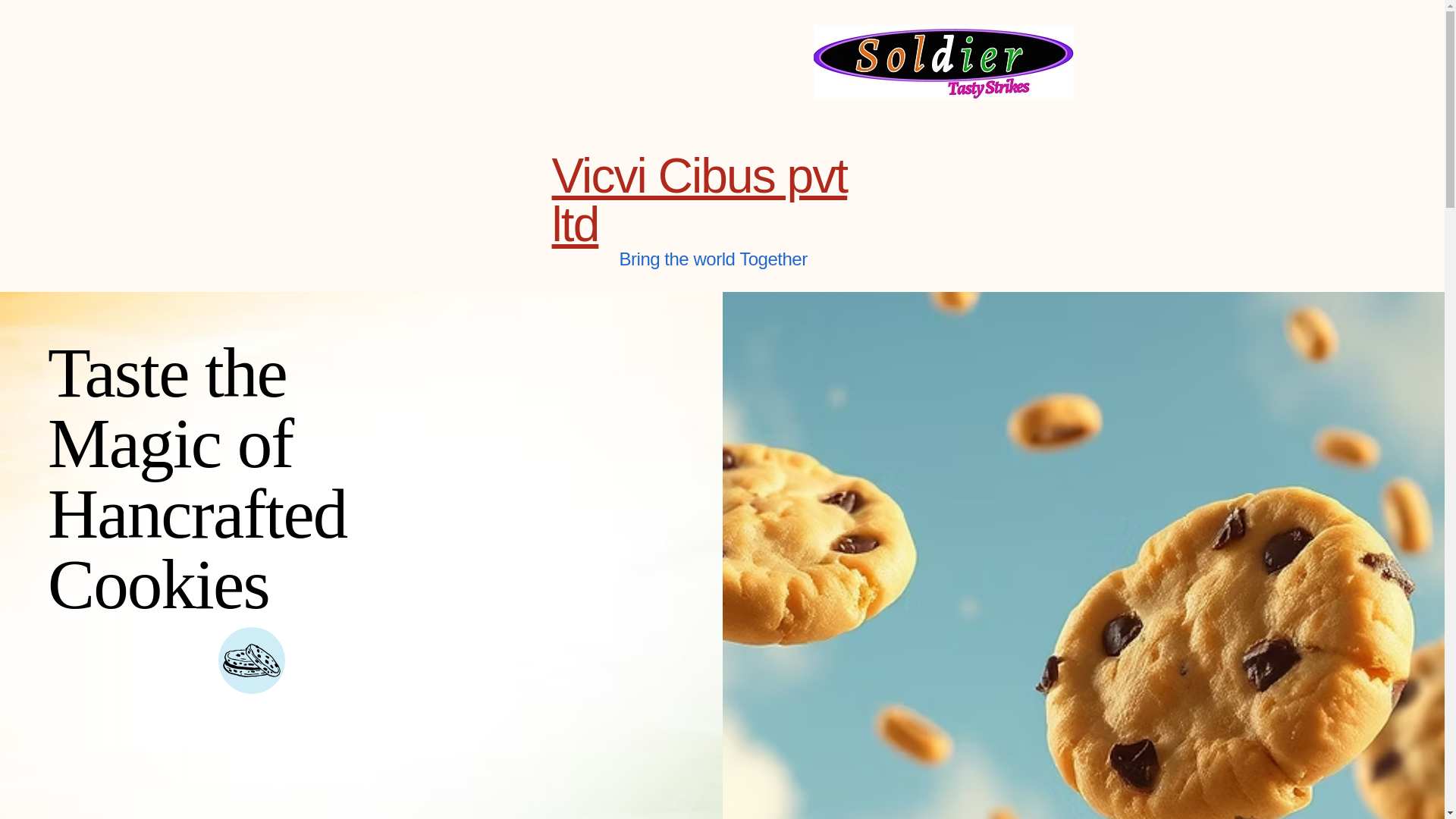 website screenshot of https://vicvicibus.com/