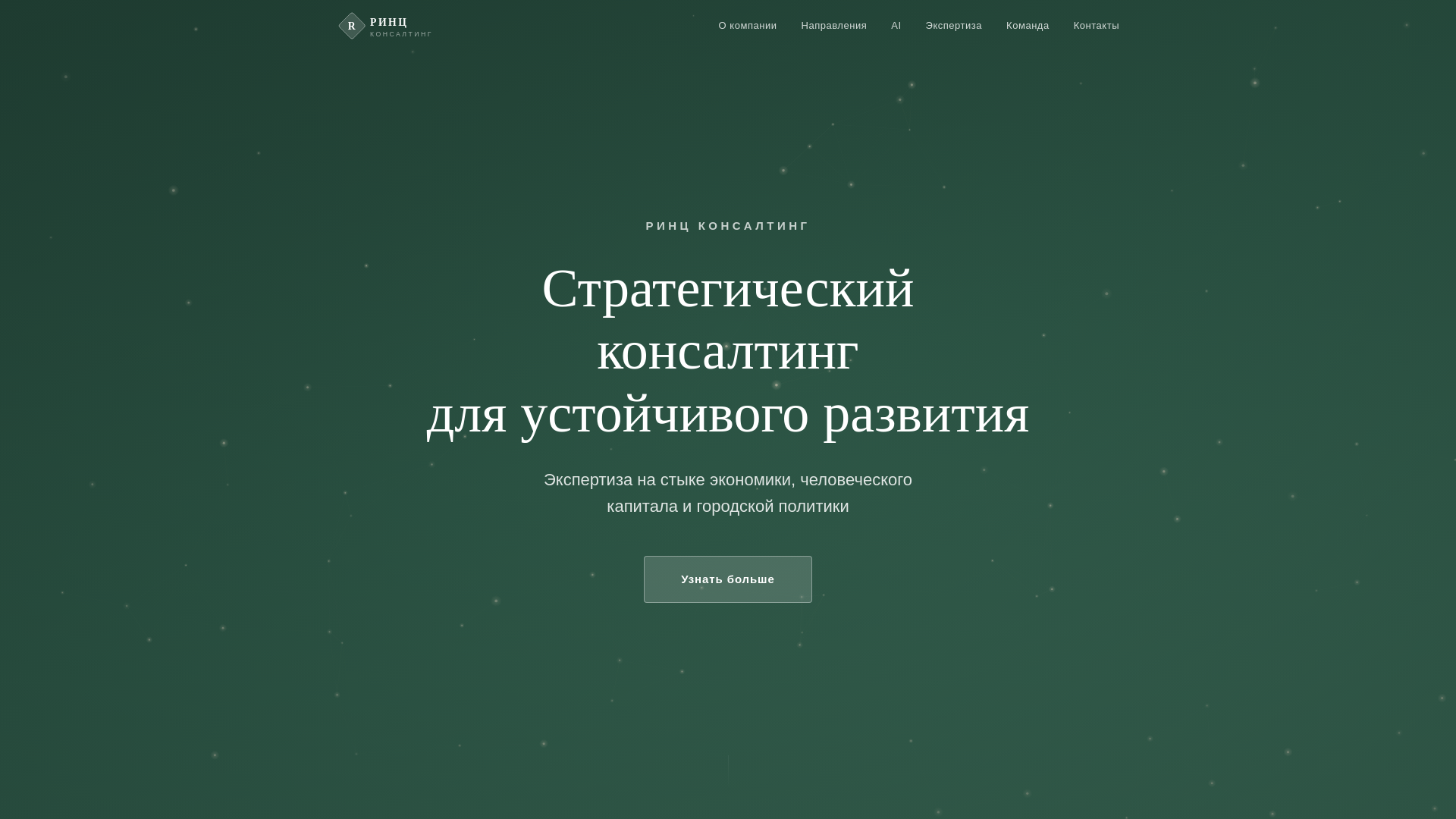 website screenshot of https://rinzconsalting.ru/