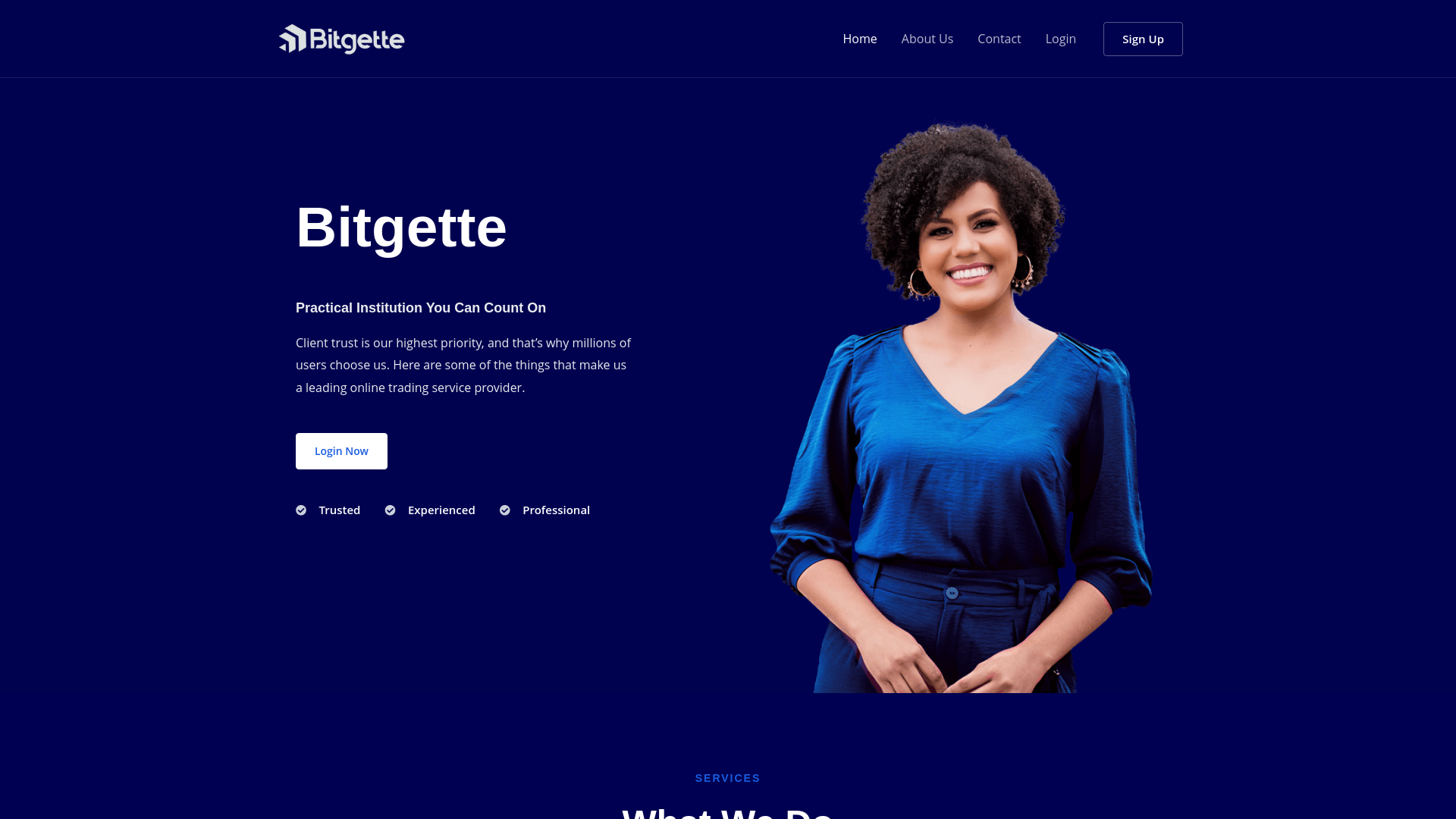 website screenshot of https://bitgette.com/