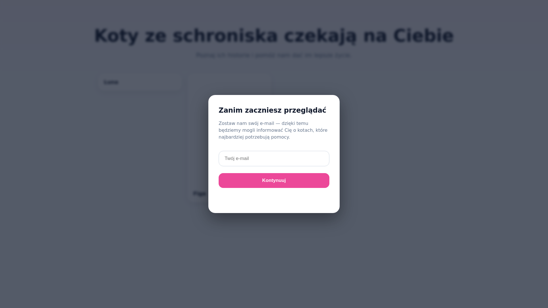 website screenshot of https://schronisko-kotkow-pl-oficjalnie.pages.dev/