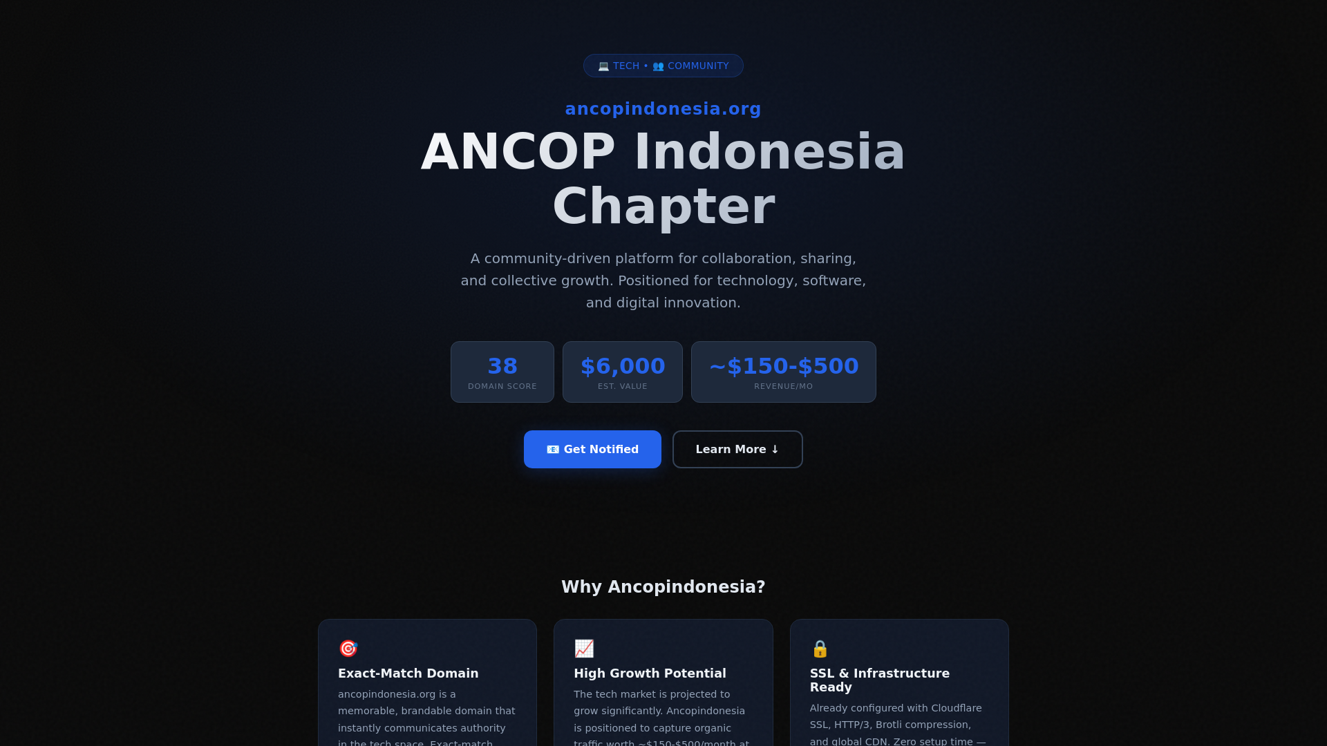 website screenshot of https://ancopindonesia.org/