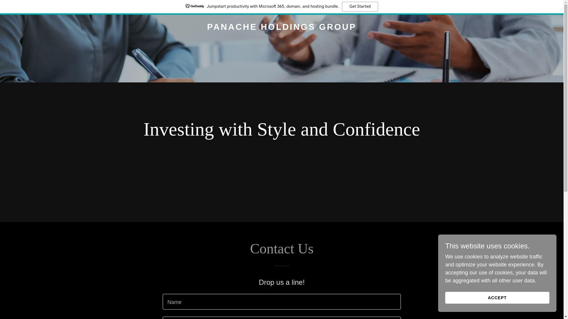 website screenshot of https://panacheholdingsgroup.com/