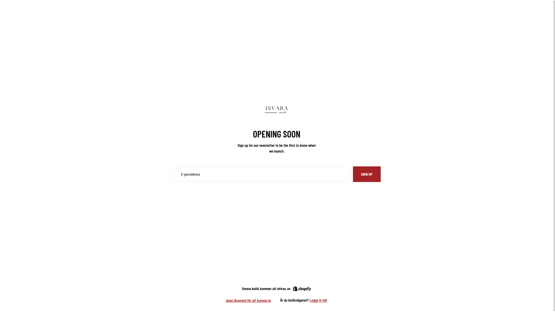 website screenshot of https://victor-mae.com/