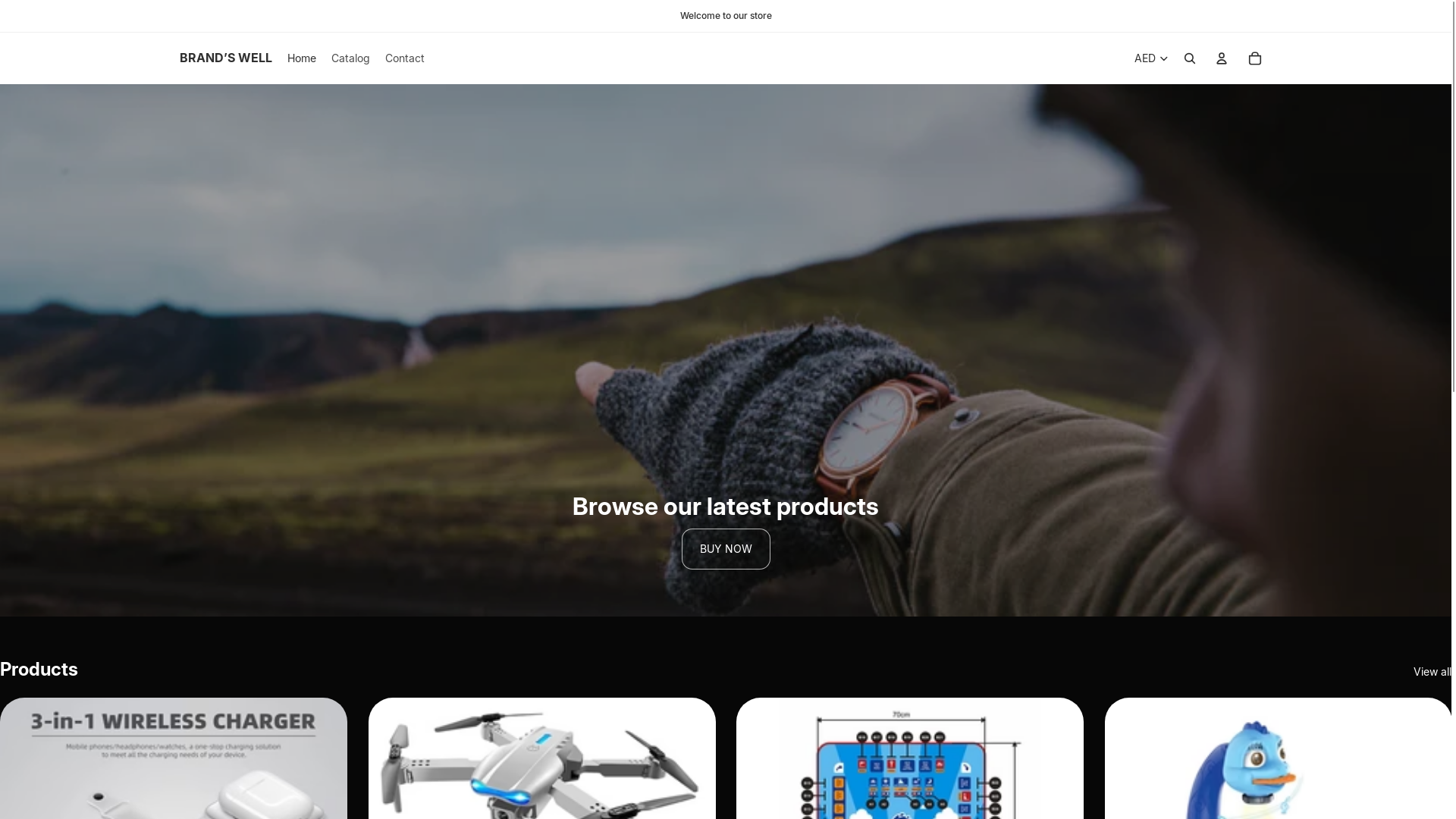 website screenshot of https://wellbrand.shop/