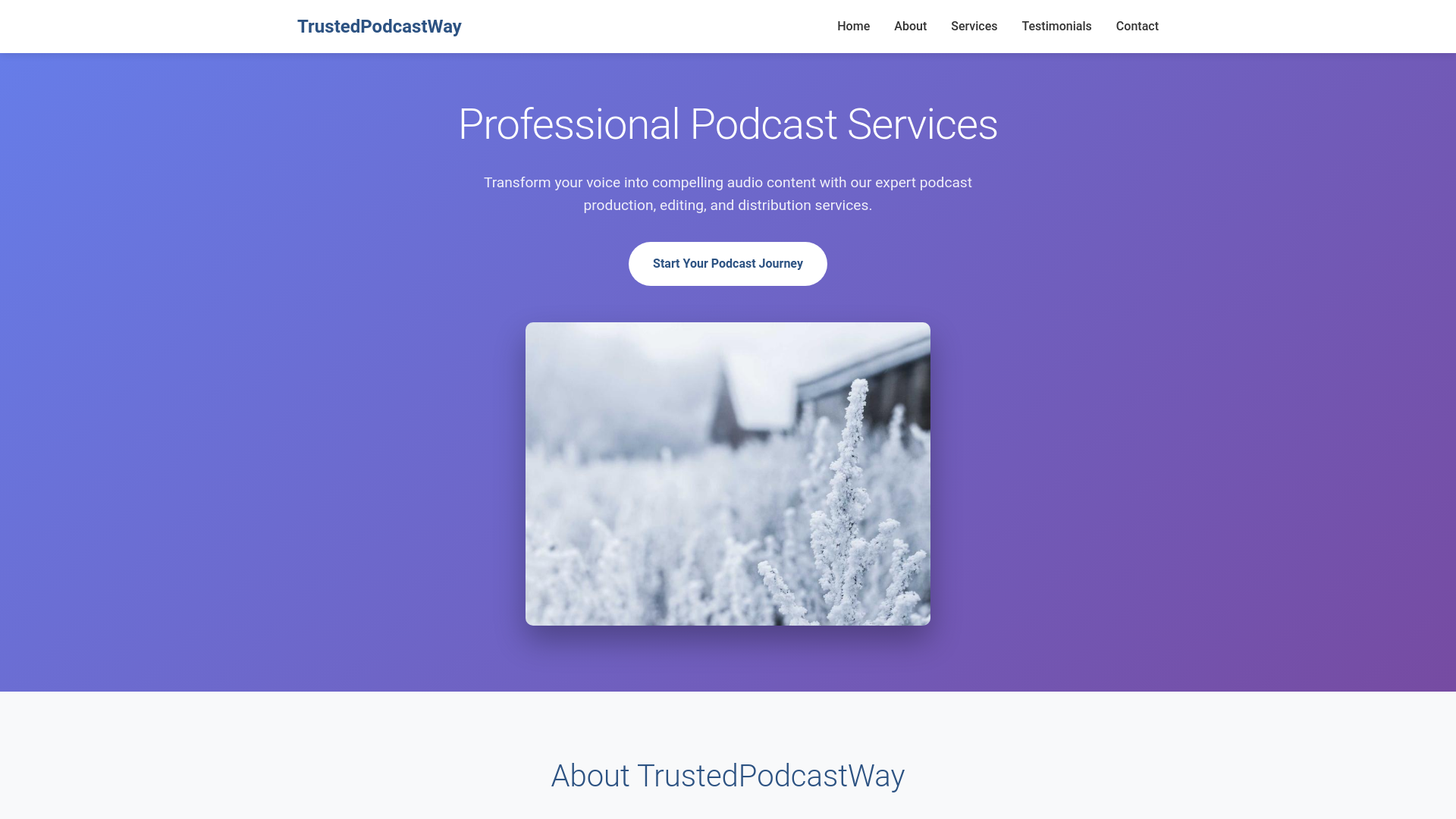 website screenshot of https://trustedpodcastway.shop/