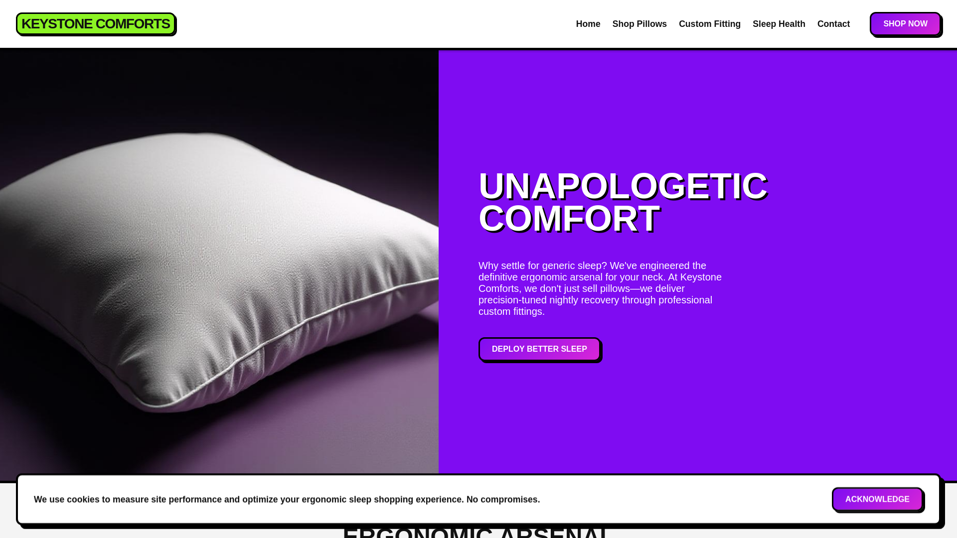 website screenshot of https://tsuchida.info/