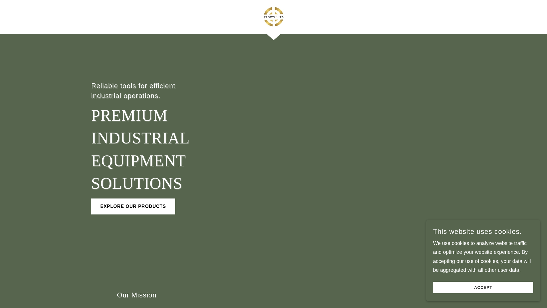 website screenshot of https://flowvestaindia.com/