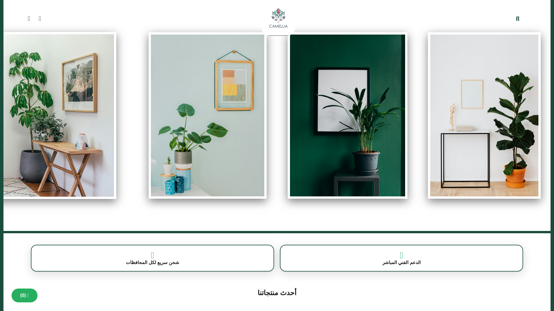 website screenshot of https://camillia.pages.dev/