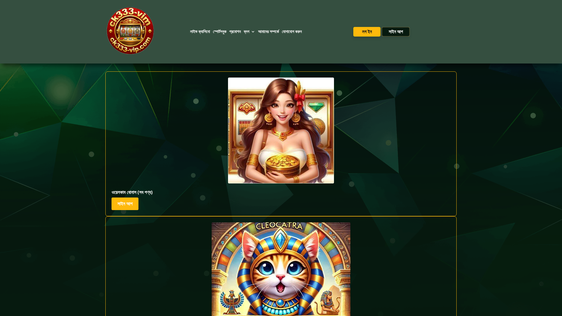 website screenshot of https://ck333-vip.com/