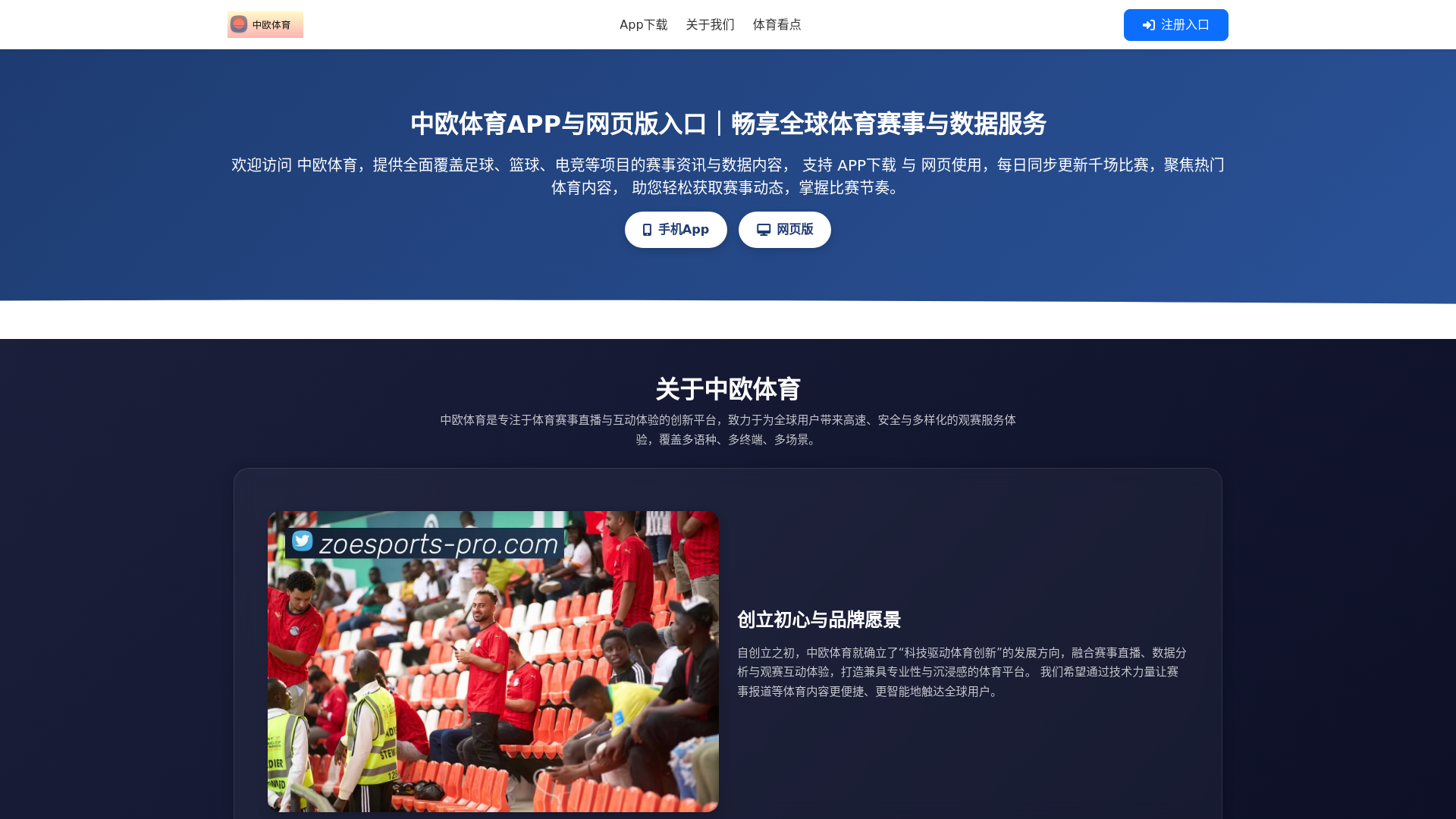 website screenshot of https://zoesports-pro.com