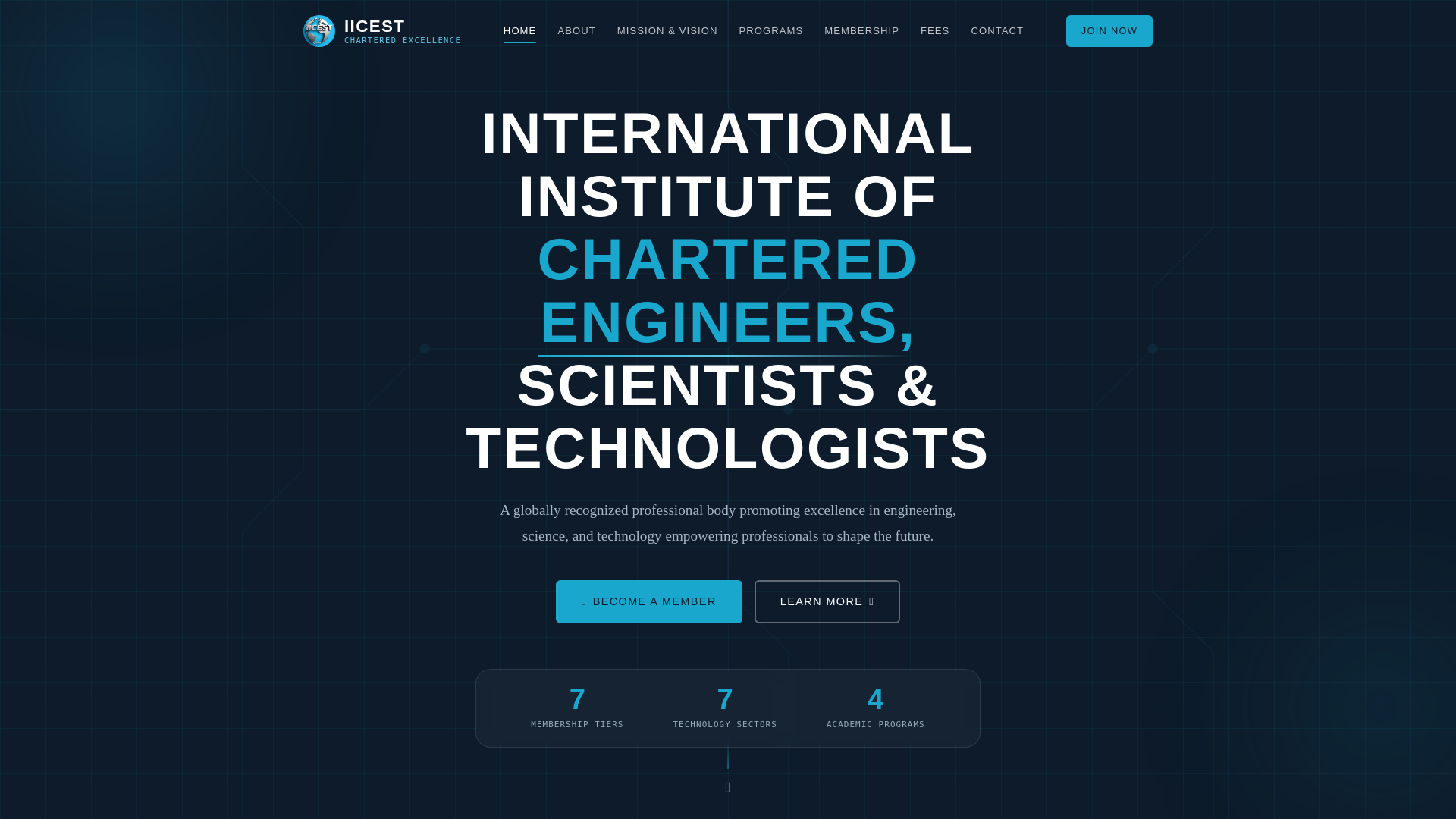 website screenshot of https://iicest.site/