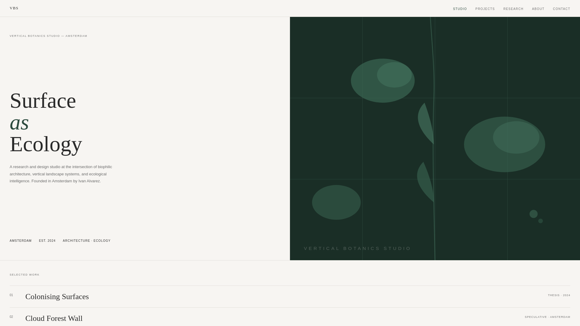 website screenshot of https://verticalbotanics.studio