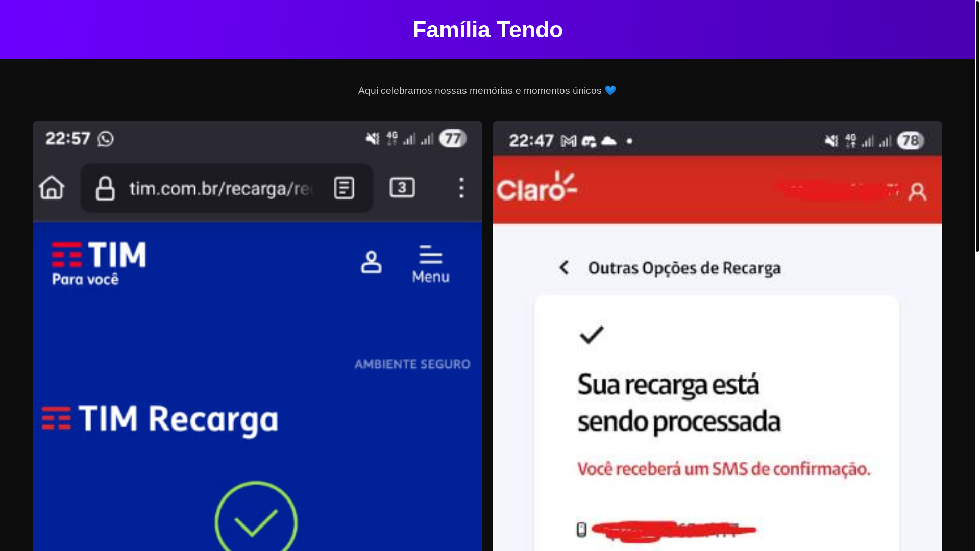 website screenshot of https://familiatendo.com.br/