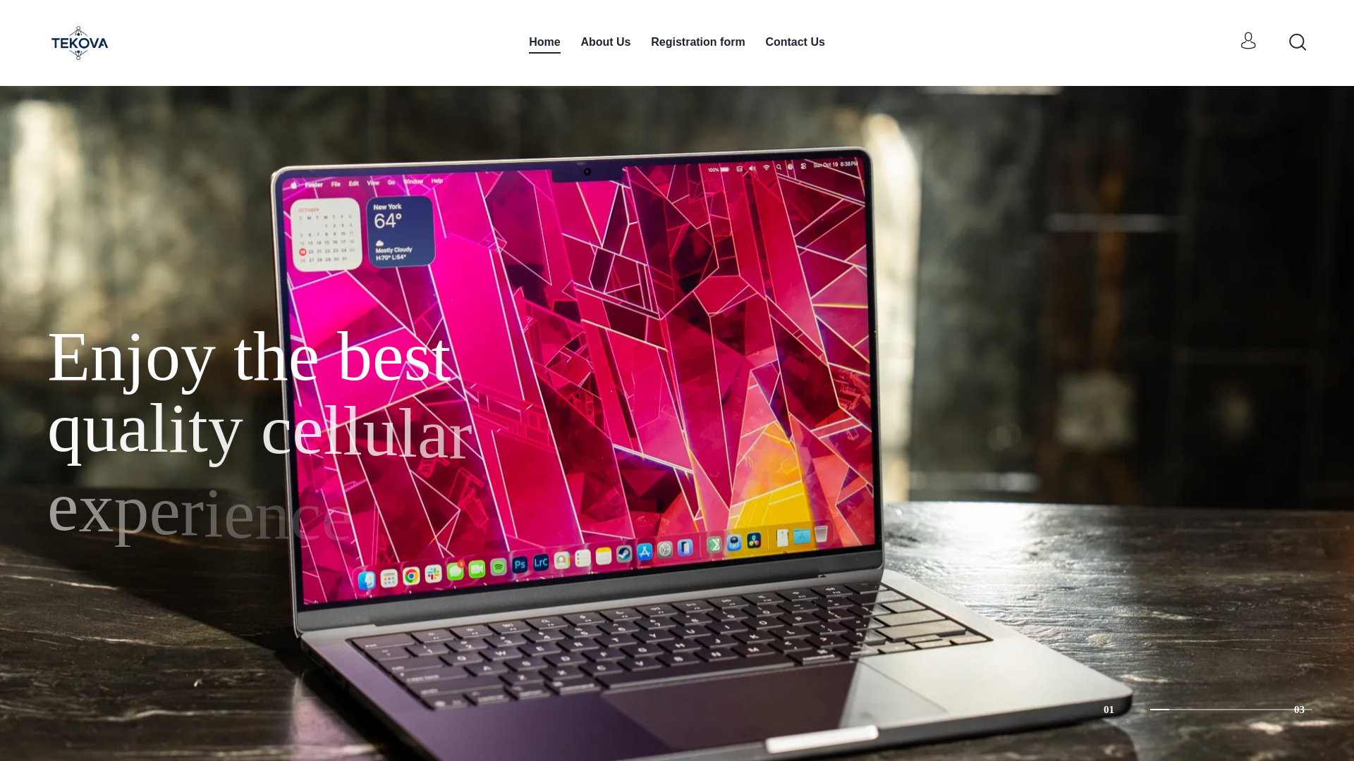 website screenshot of https://tekova-cz.com/