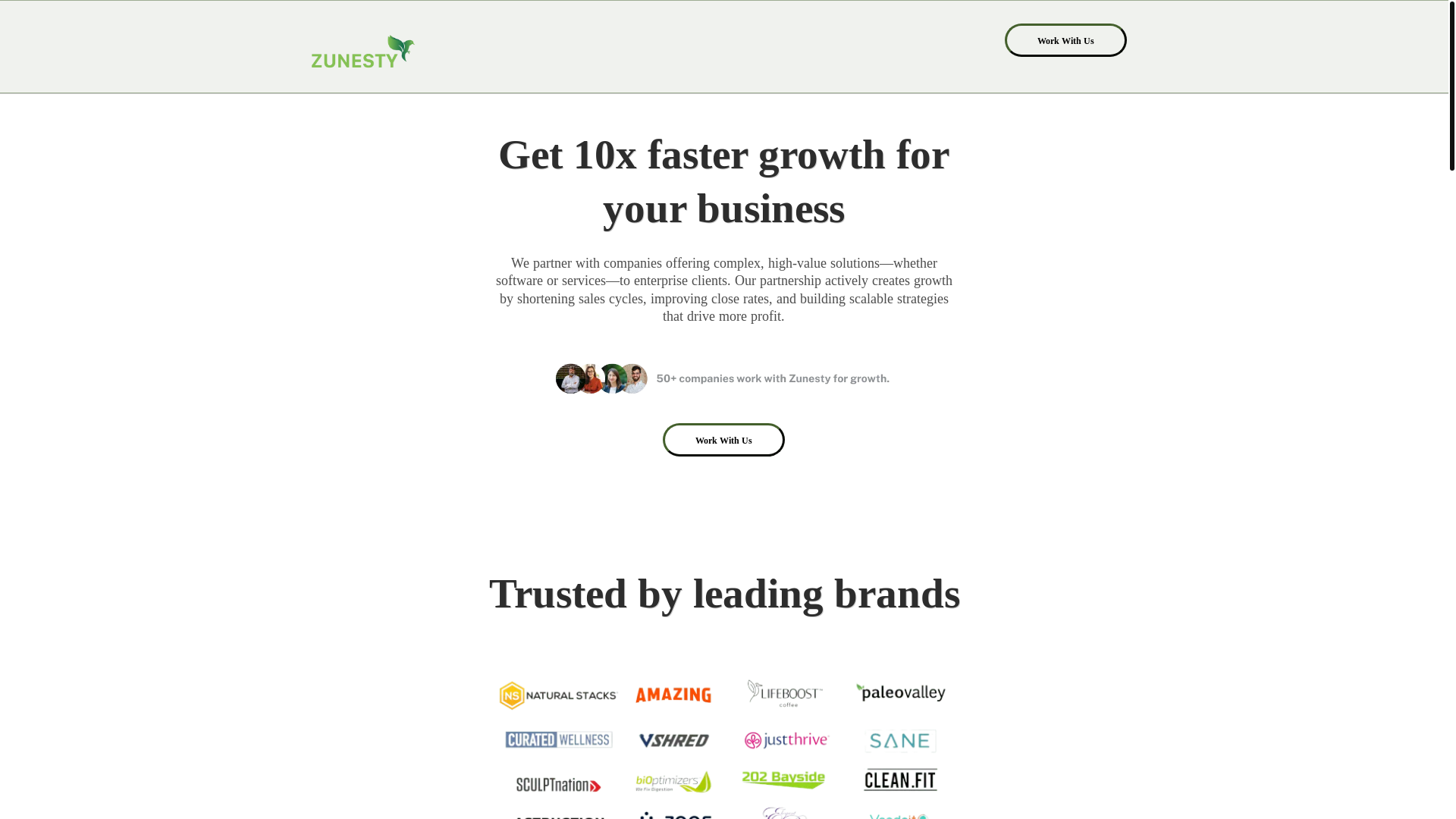 website screenshot of https://zunestyadvertising.com/