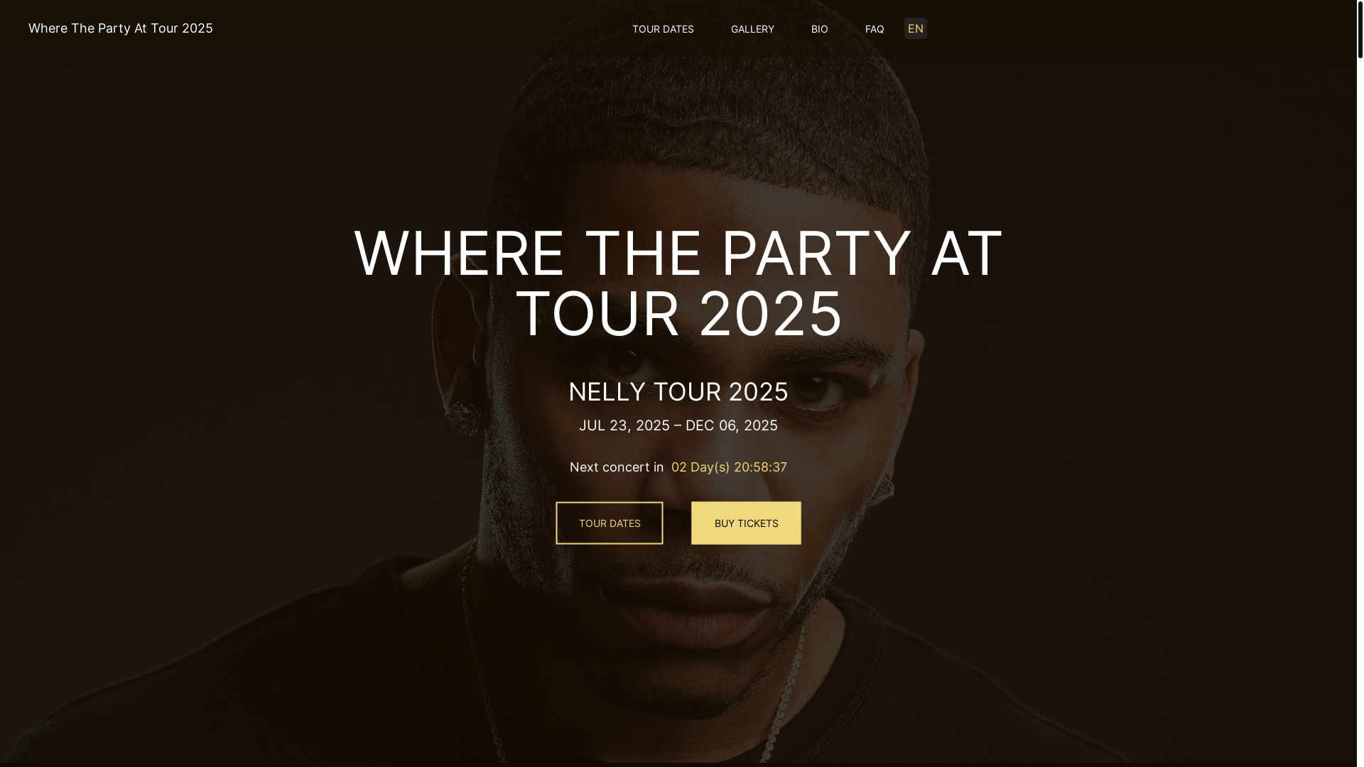 website screenshot of https://wherethepartyattour-com-github-io.pages.dev/
