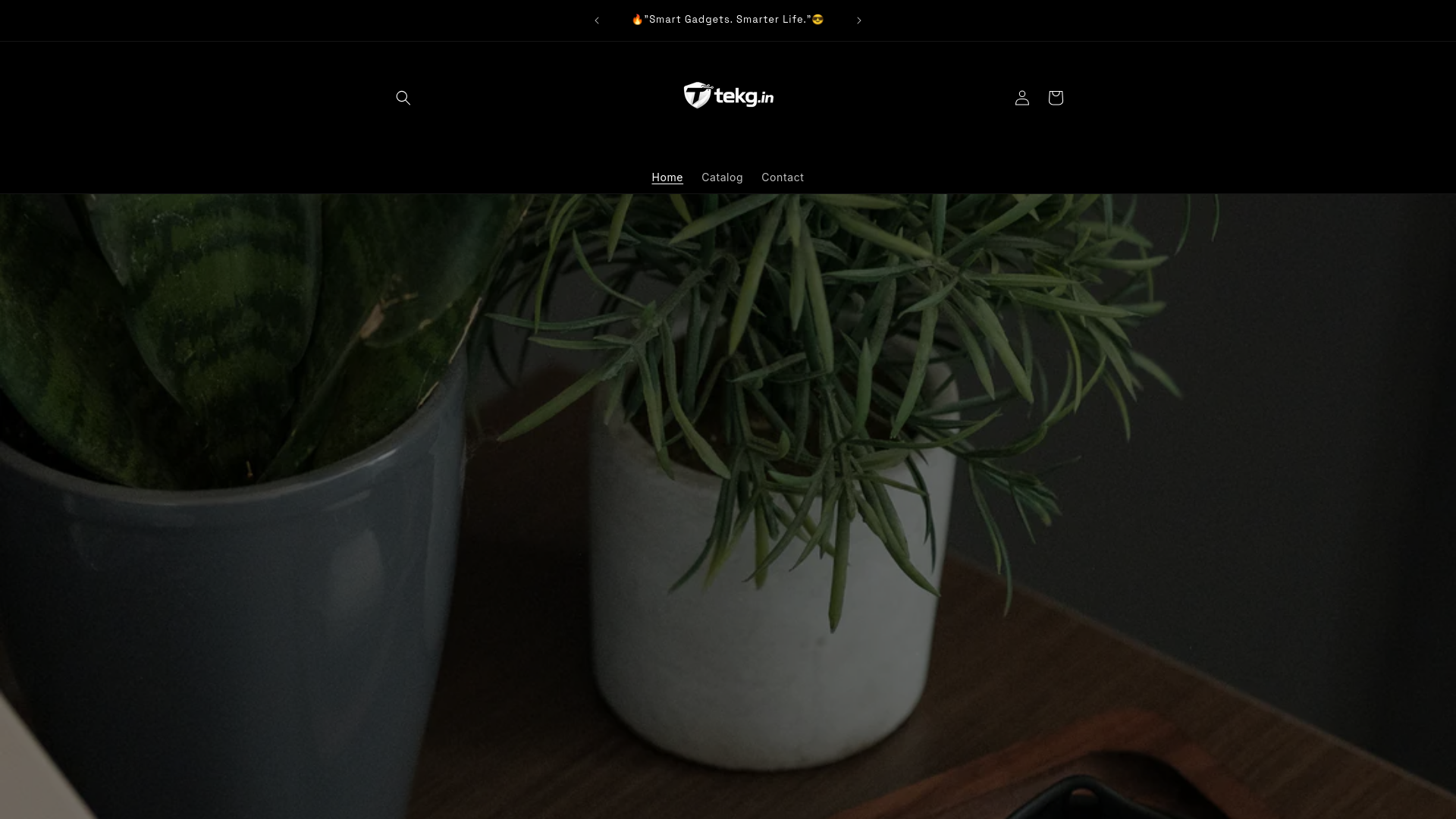 website screenshot of https://tekg.in
