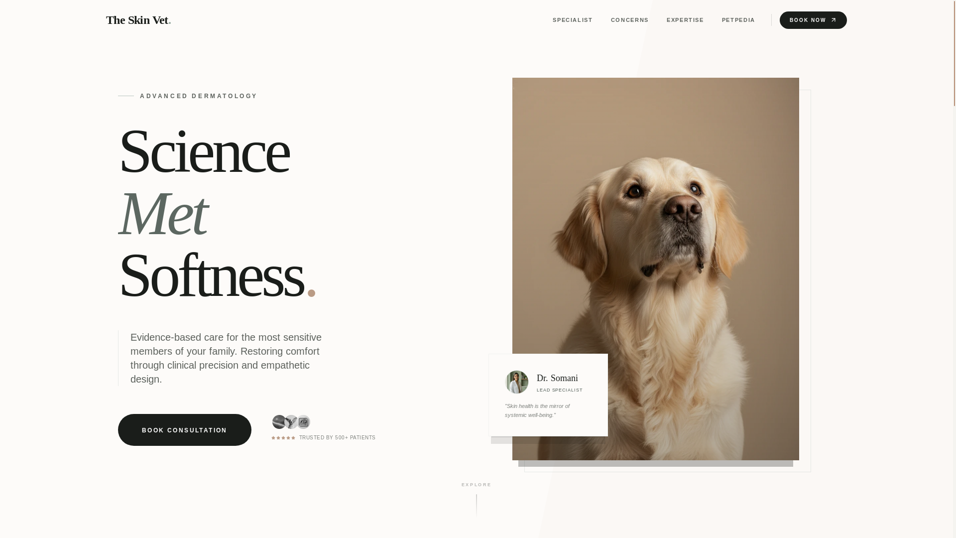 website screenshot of https://theskinvet.pages.dev/