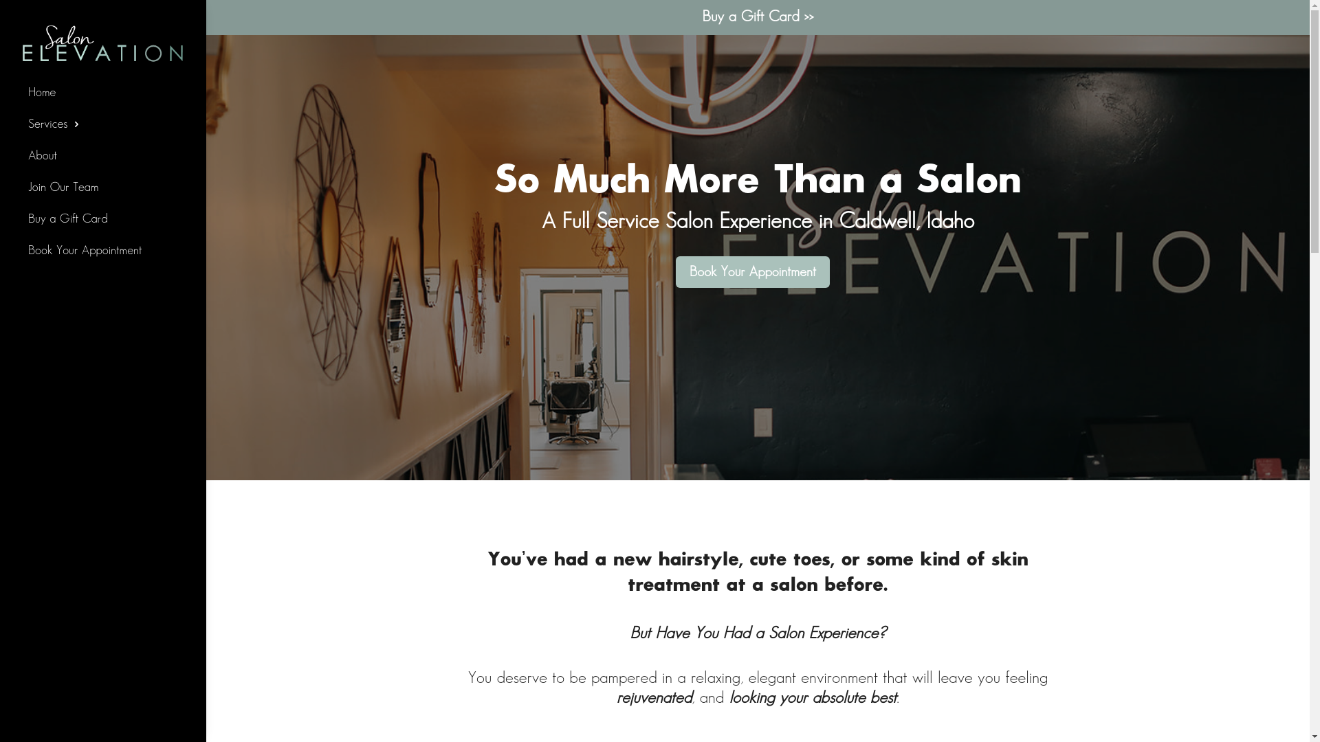 website screenshot of https://salonelevationidaho.hair/