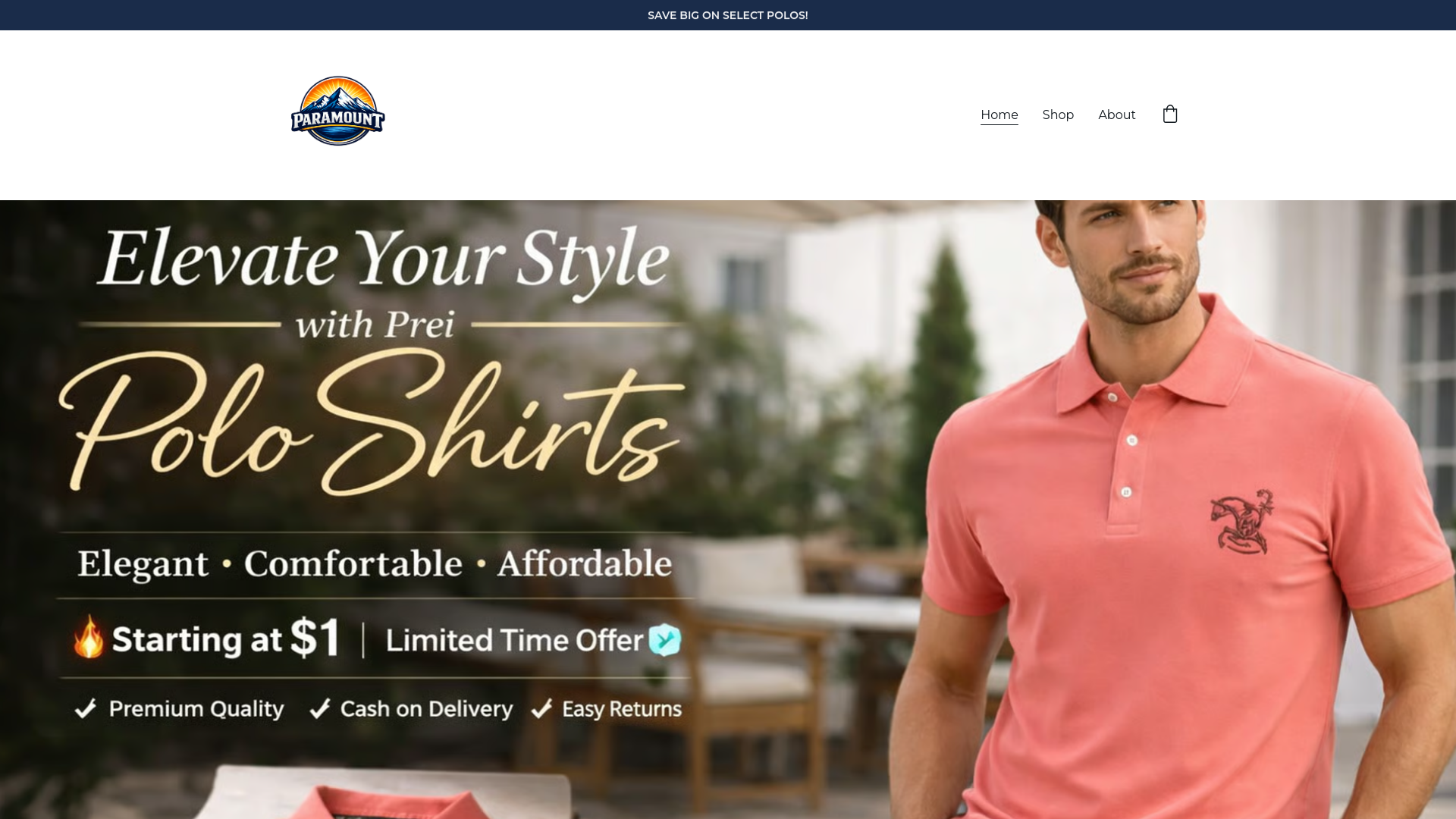 website screenshot of https://paramountusapolo.com