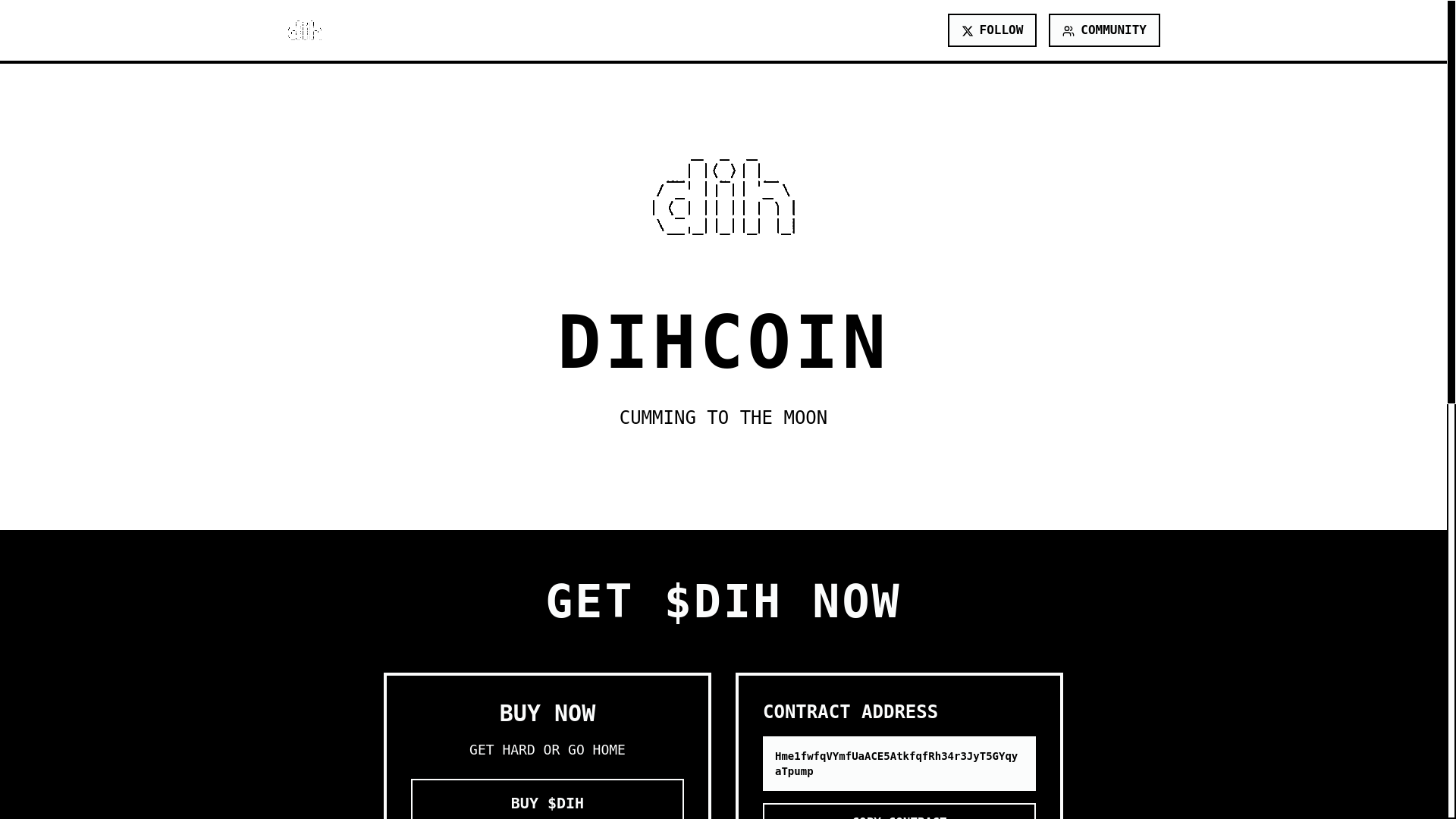 website screenshot of https://thedihcoin.xyz/