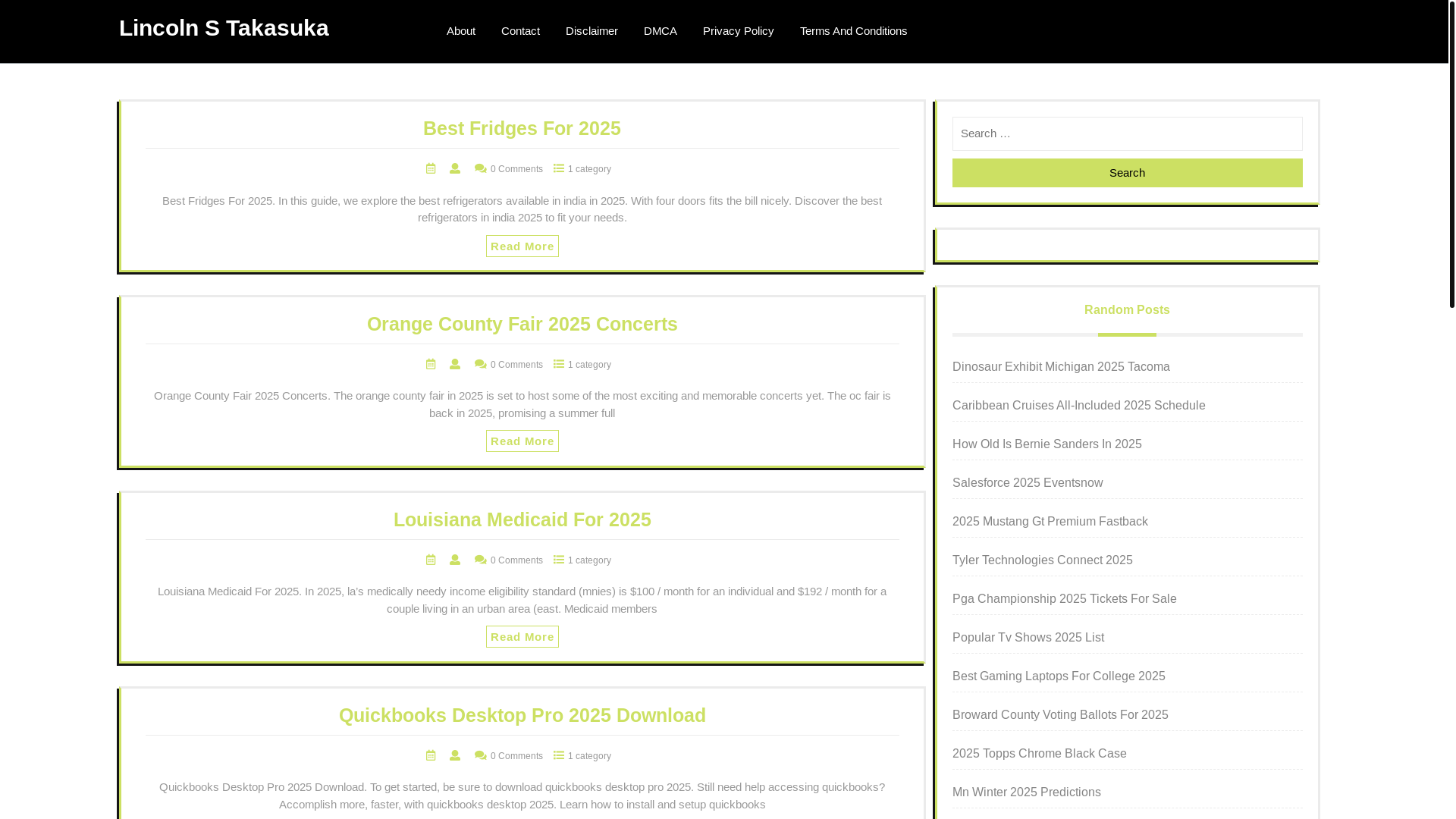 website screenshot of https://lincolnstakasuka.pages.dev/