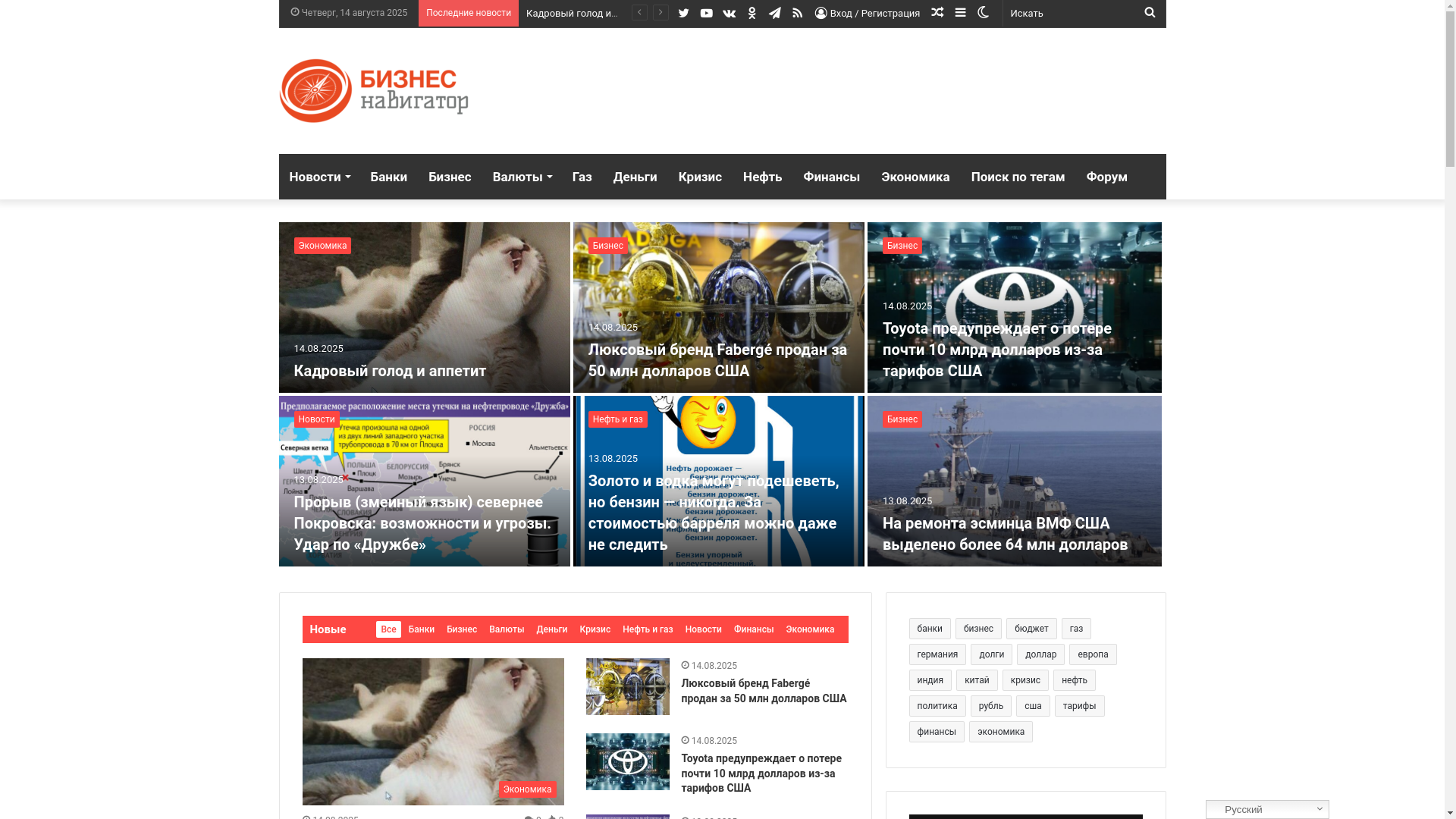 website screenshot of https://fynvesti.ru/