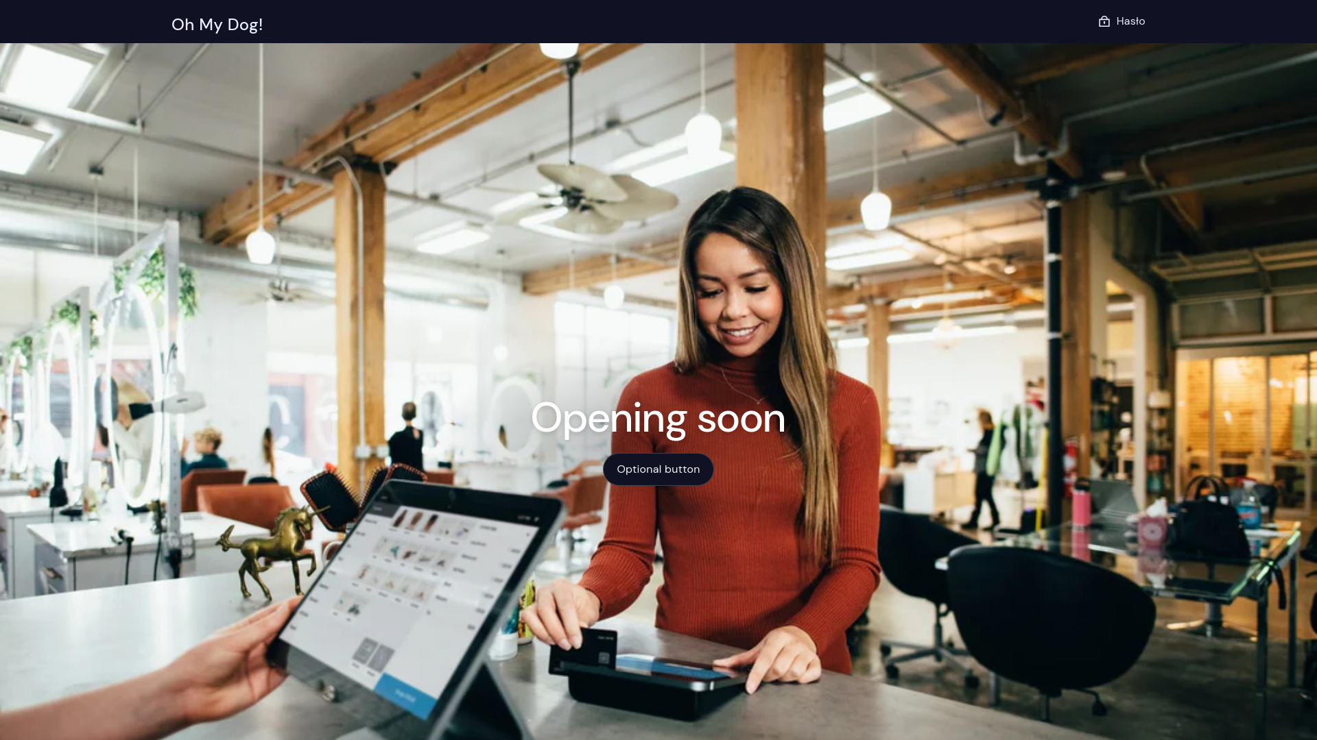 website screenshot of https://hollypaws.pl/