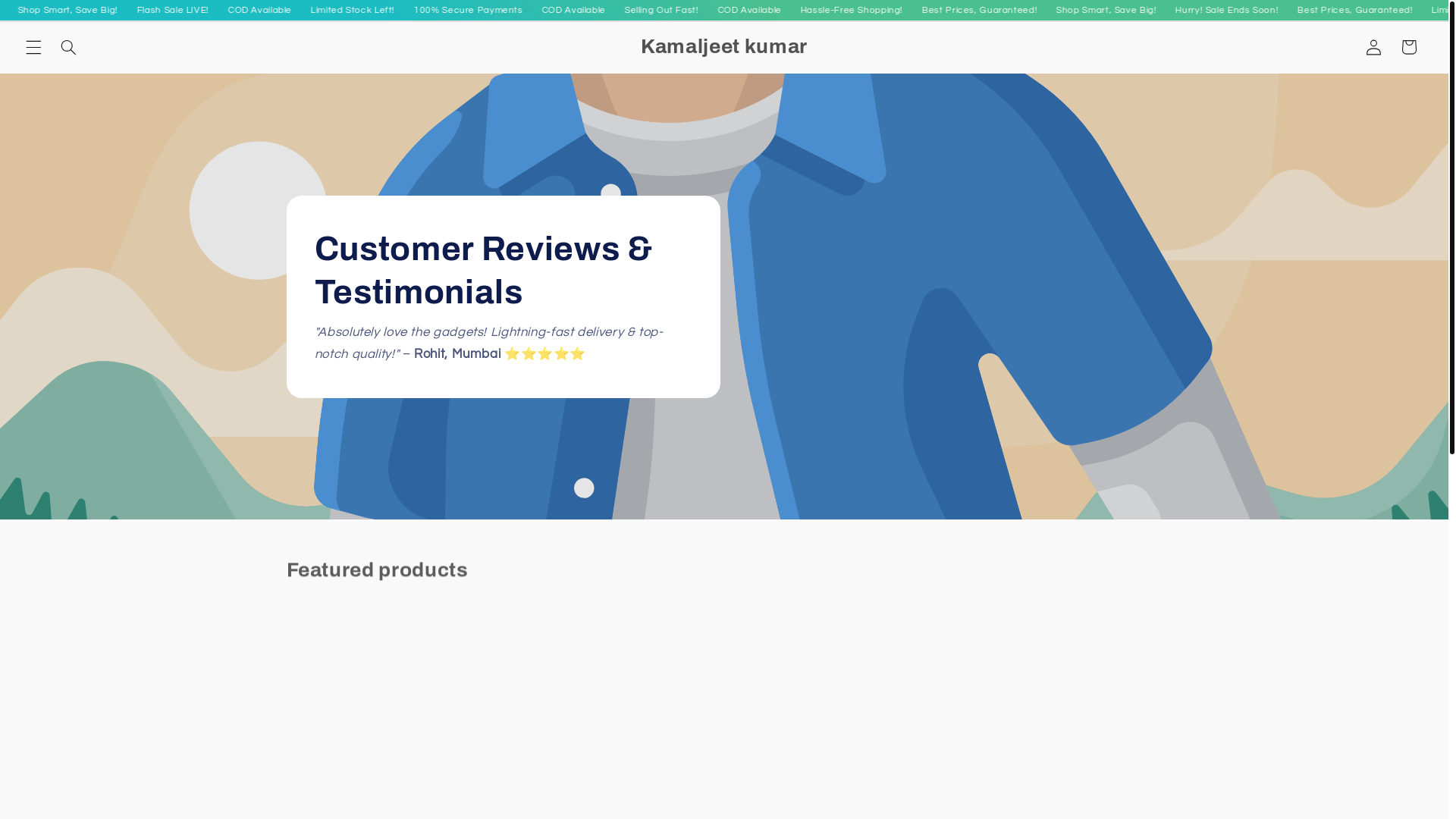 website screenshot of https://pritica.store/