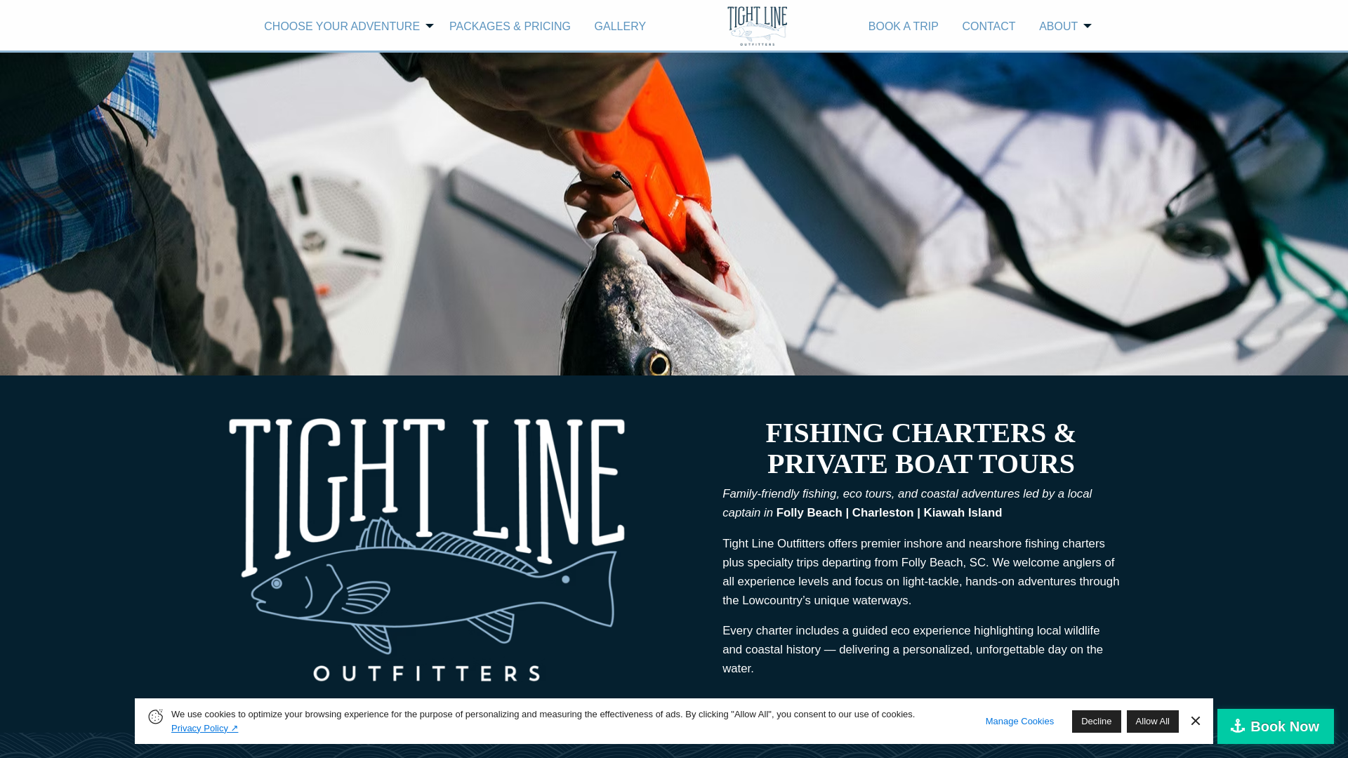 website screenshot of https://follybeachinshorefishing.com/