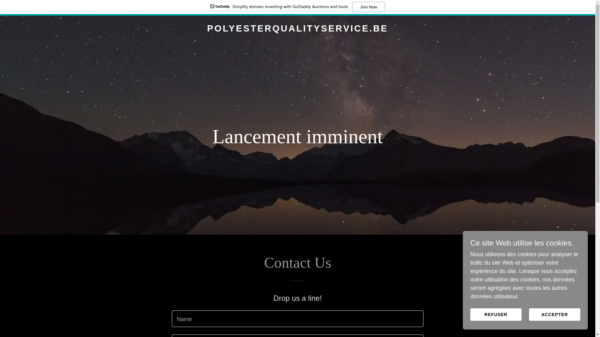 website screenshot of https://polyesterqualityservice.be/