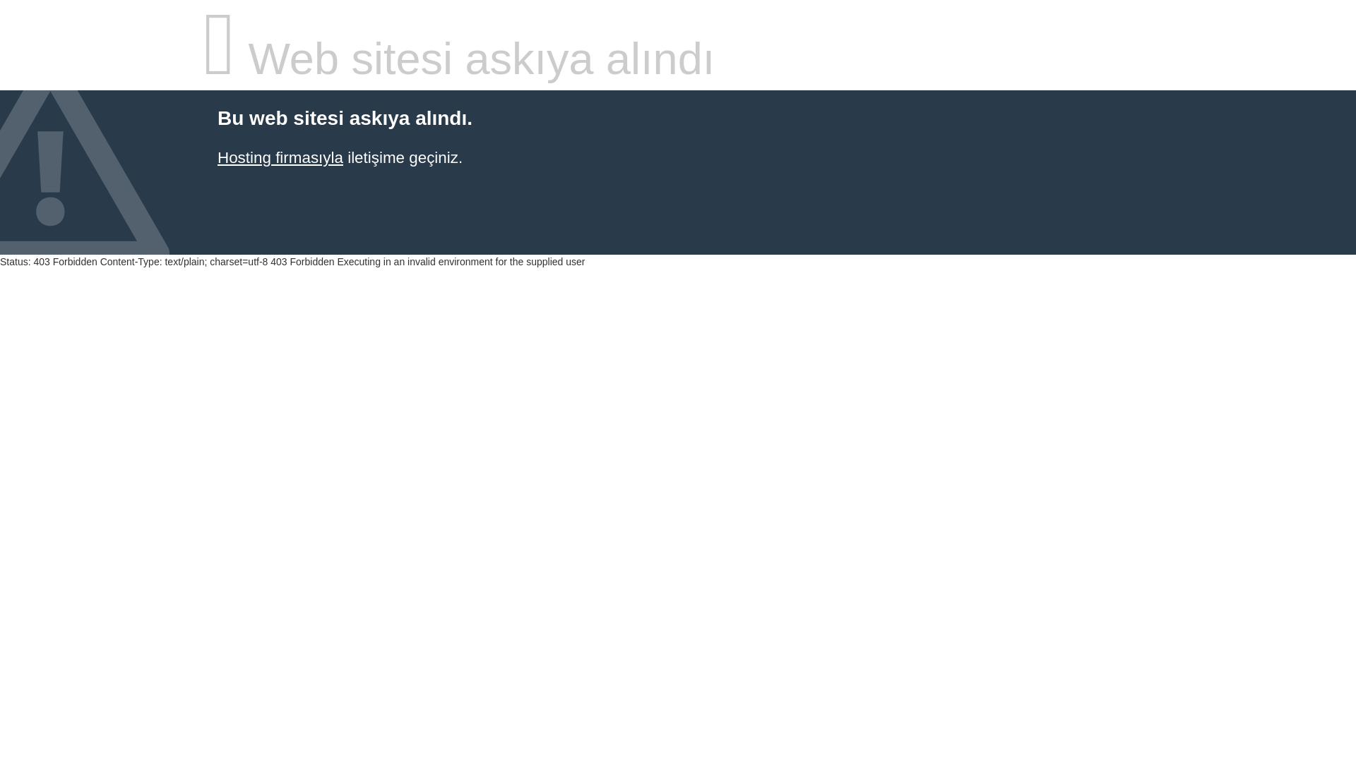 website screenshot of https://tek-girisi2026.vip