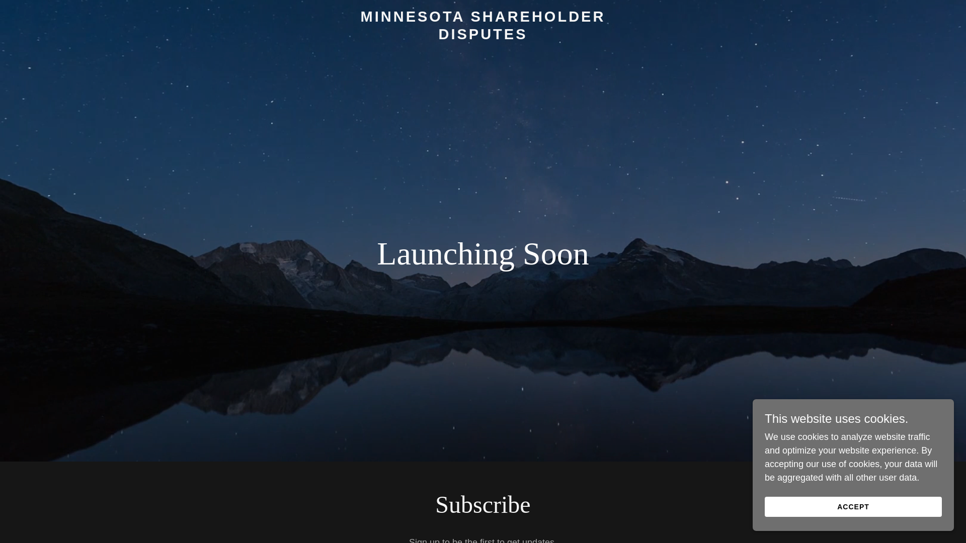 website screenshot of https://minnesotashareholderdisputes.com
