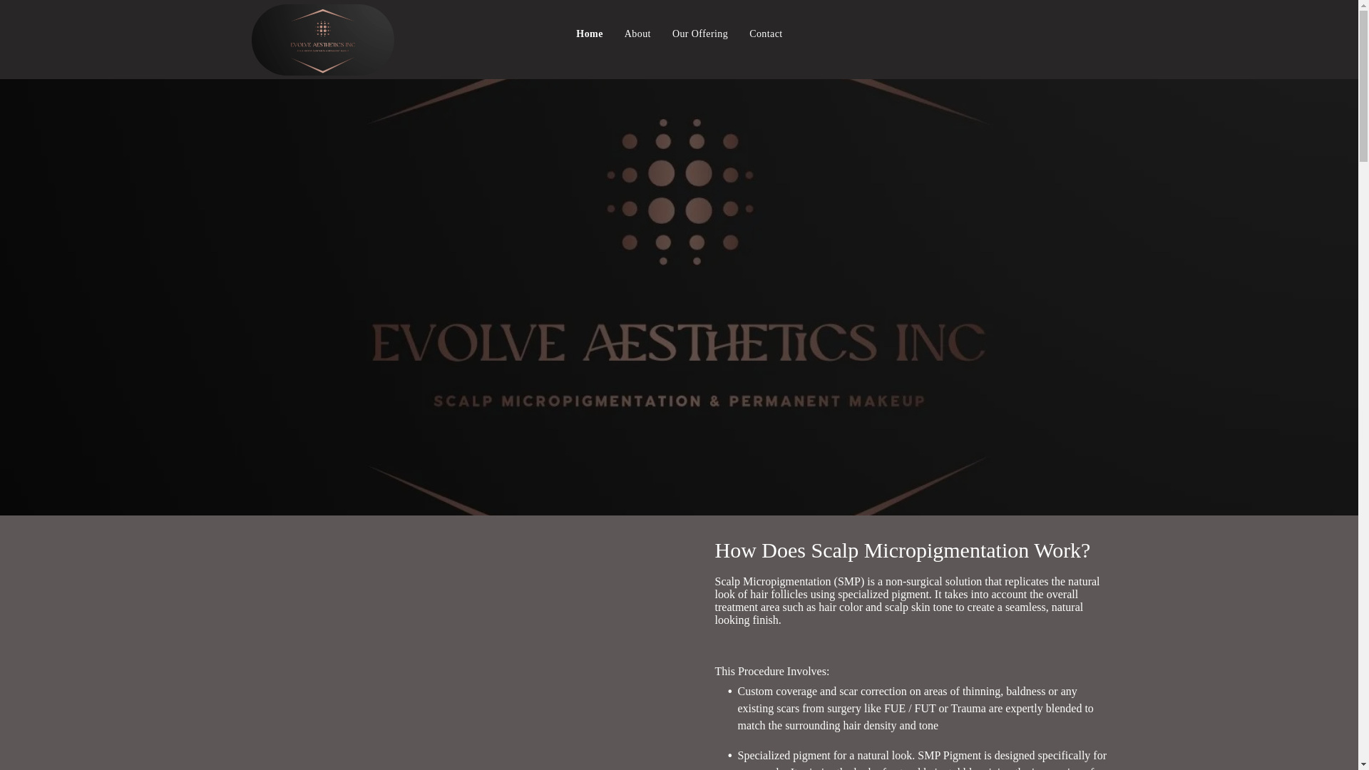 website screenshot of https://evolveaestheticsink.com/