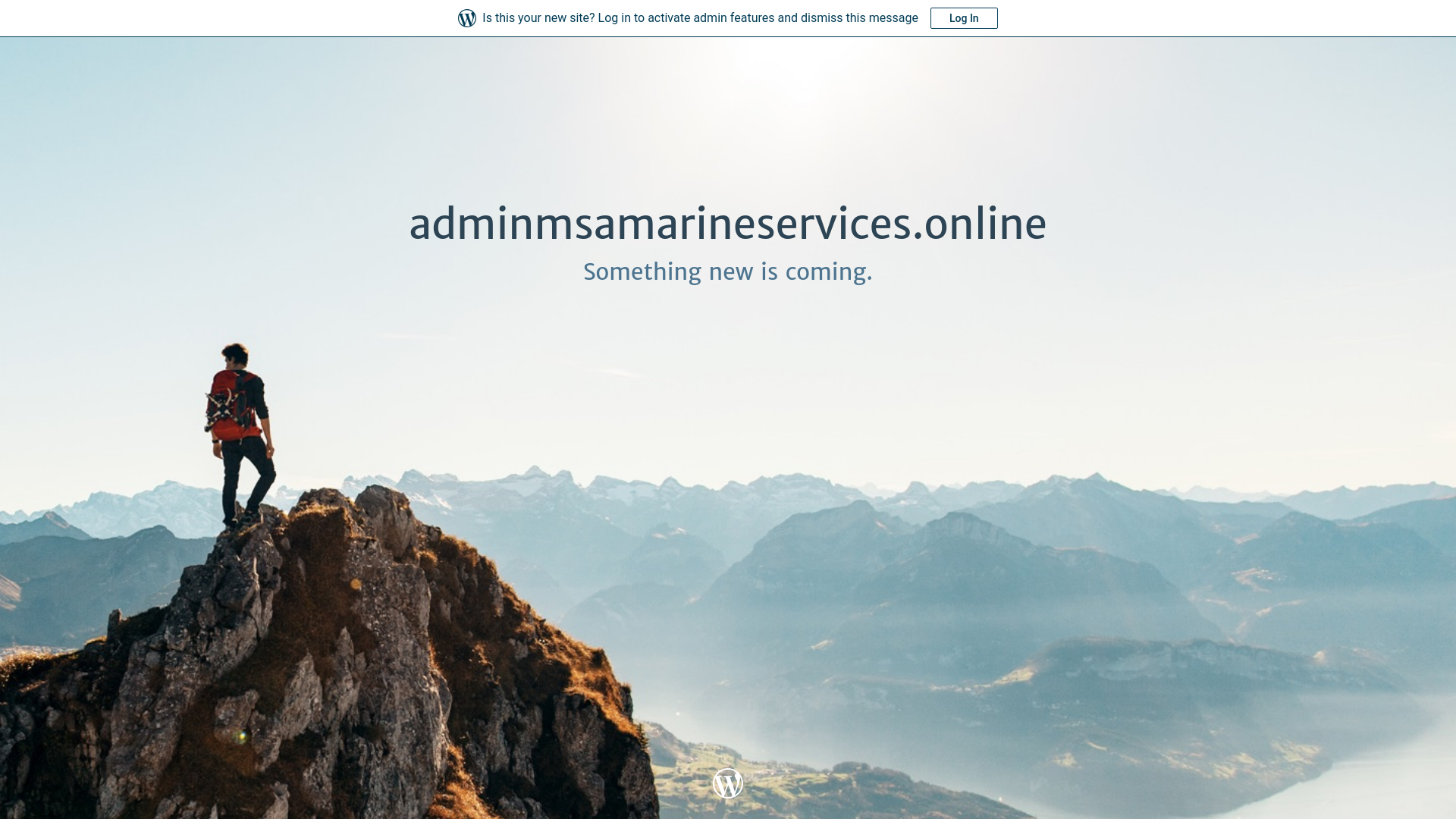 website screenshot of https://adminmsamarineservices.online/