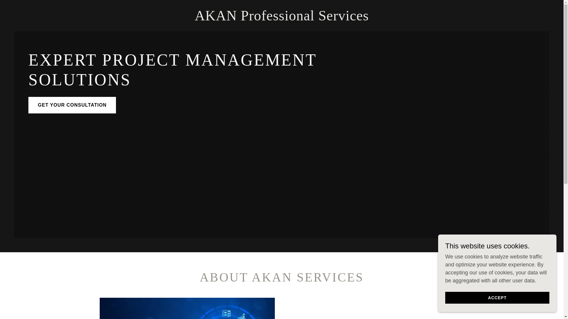 website screenshot of https://akan-ps.com/