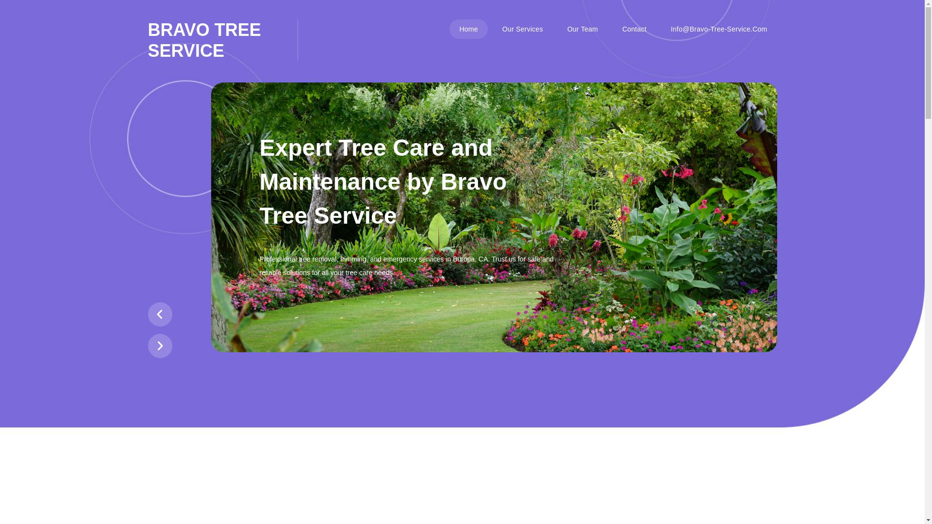 website screenshot of https://bravo-tree-service.pages.dev/