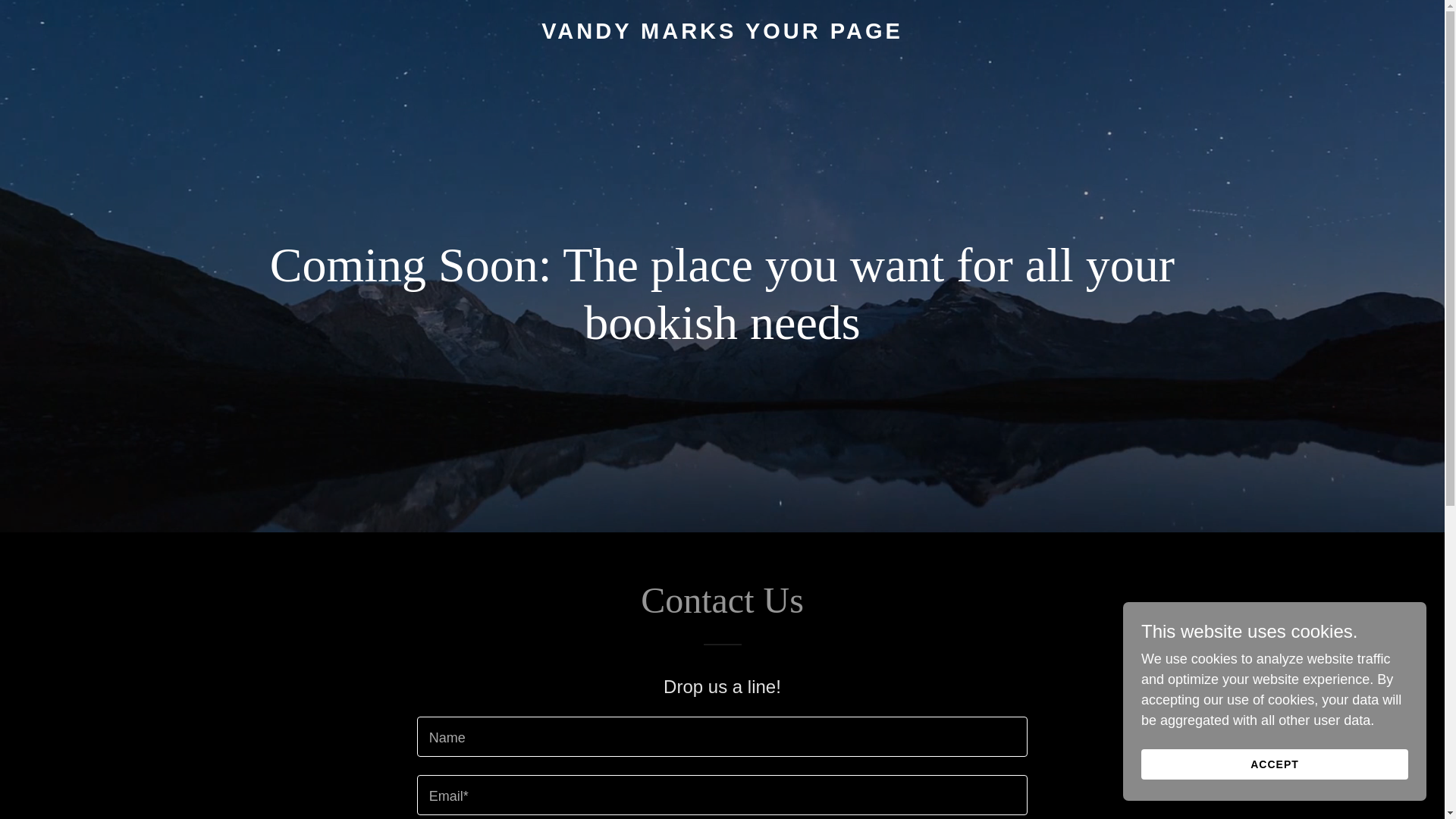 website screenshot of https://vandymarks.com/